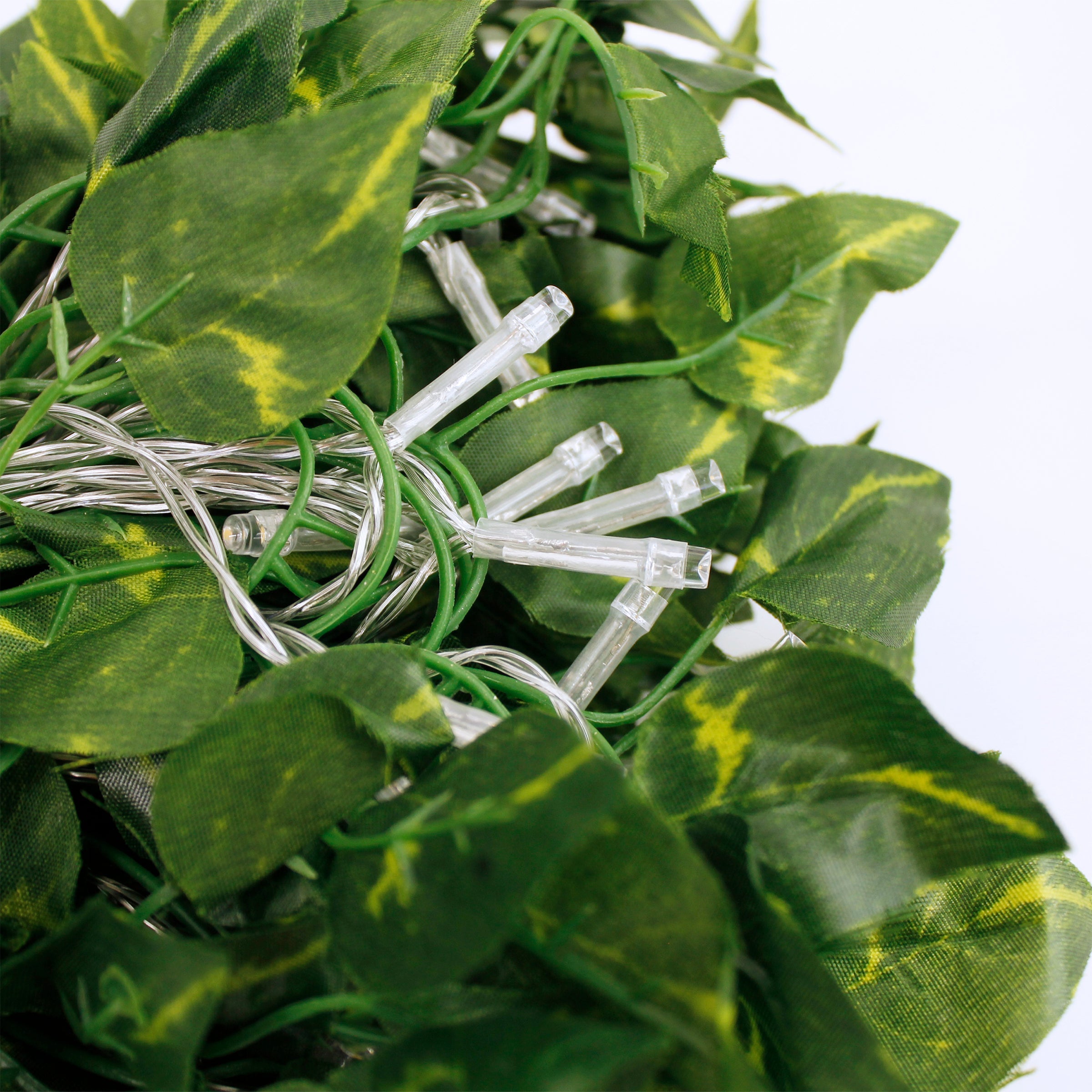 66LED Ivy Leaf Curtain String Lights 3ft x 5ft Battery Operated Warm White