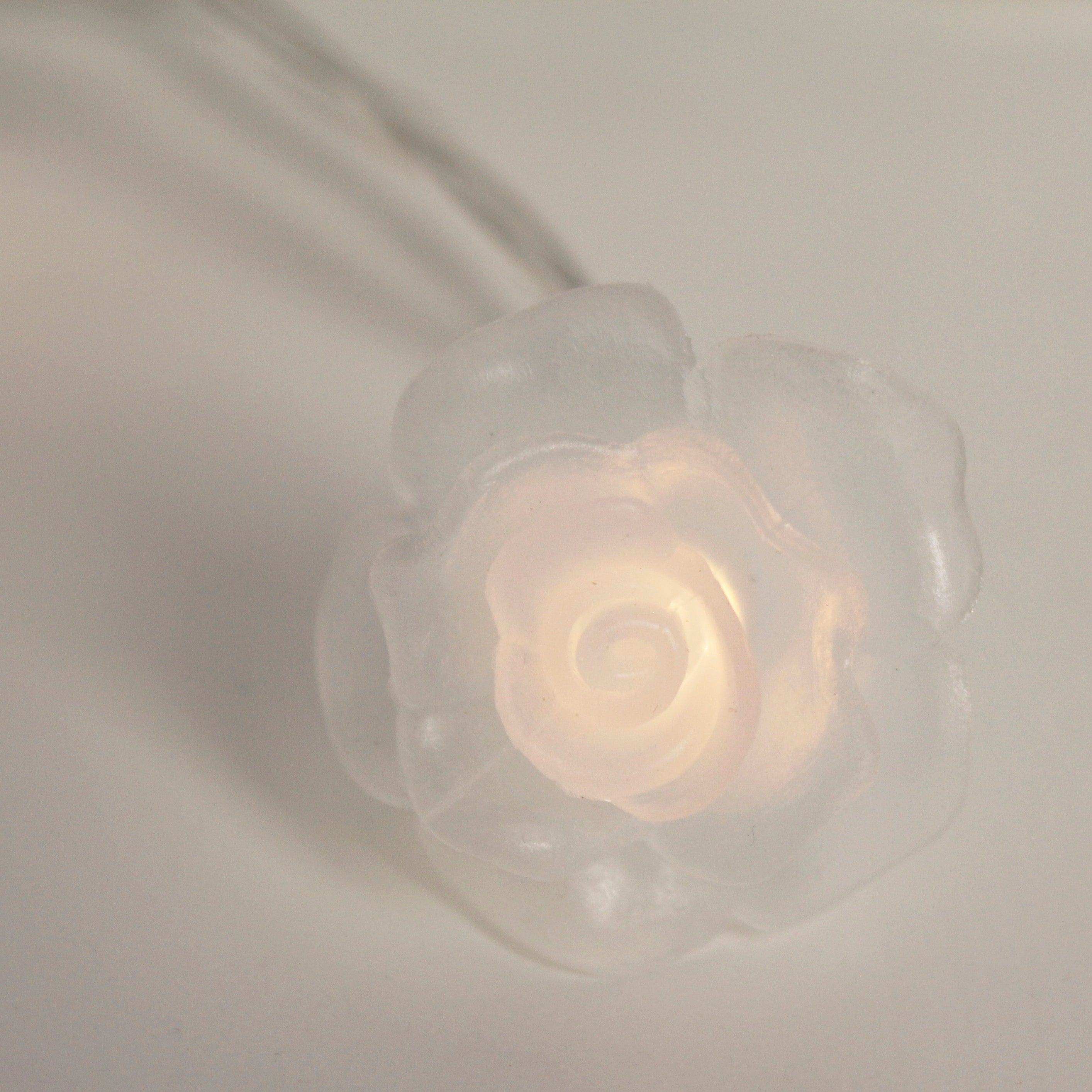 20 LED Lights Battery Operated with PVC Clear Rose - Warm White