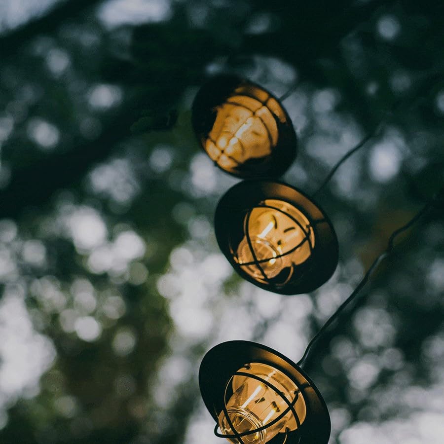 Barebones Edison Pendant String Lights - Antique Bronze, 3 Edison-Style Led Bulbs With 10-Foot Cord, Energy-Efficient Outdoor La
