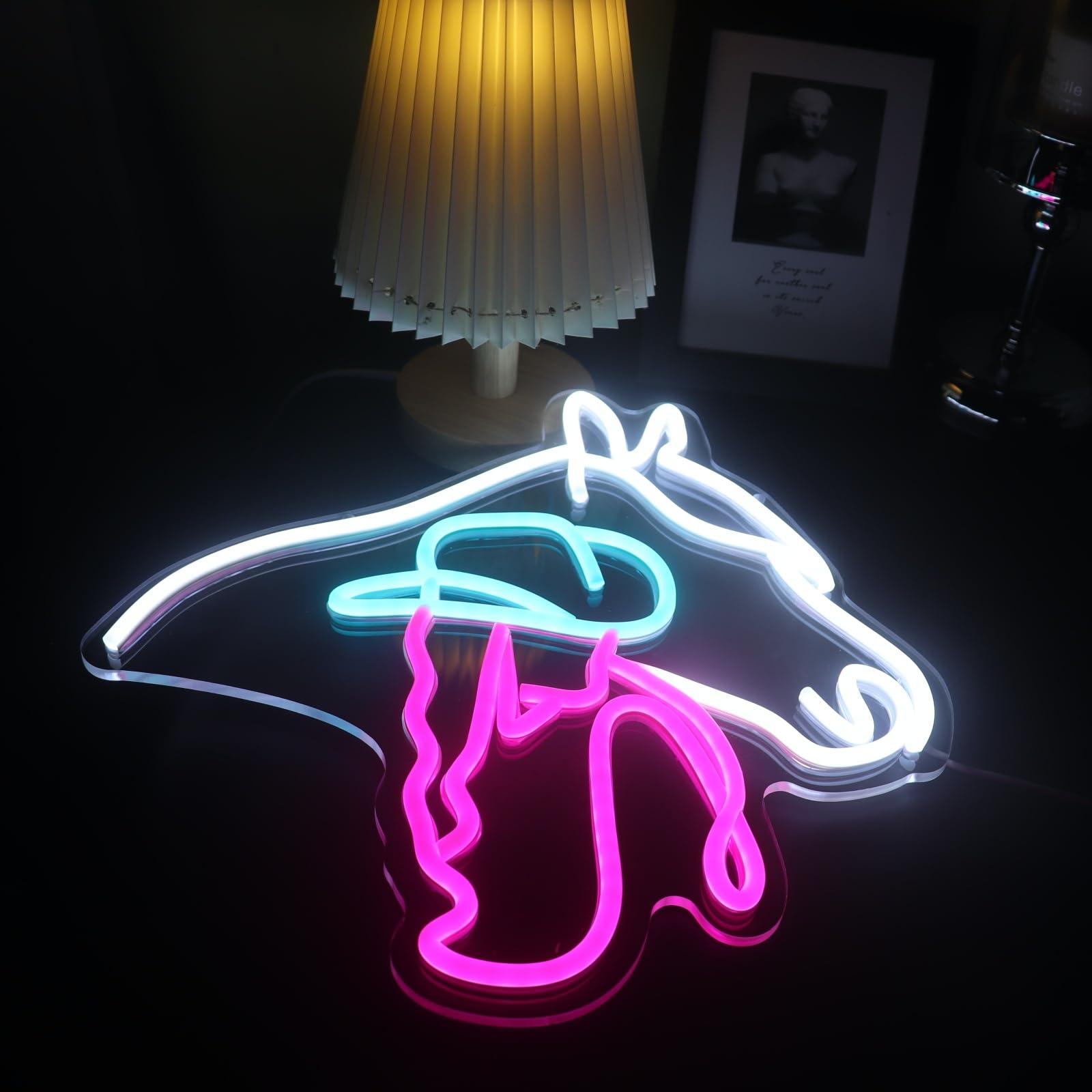 QiaoFei Neon Sign, Horse Cowgirl Led Light, Acrylic, 12.99inx13.39in, White-Ice Blue-Pink