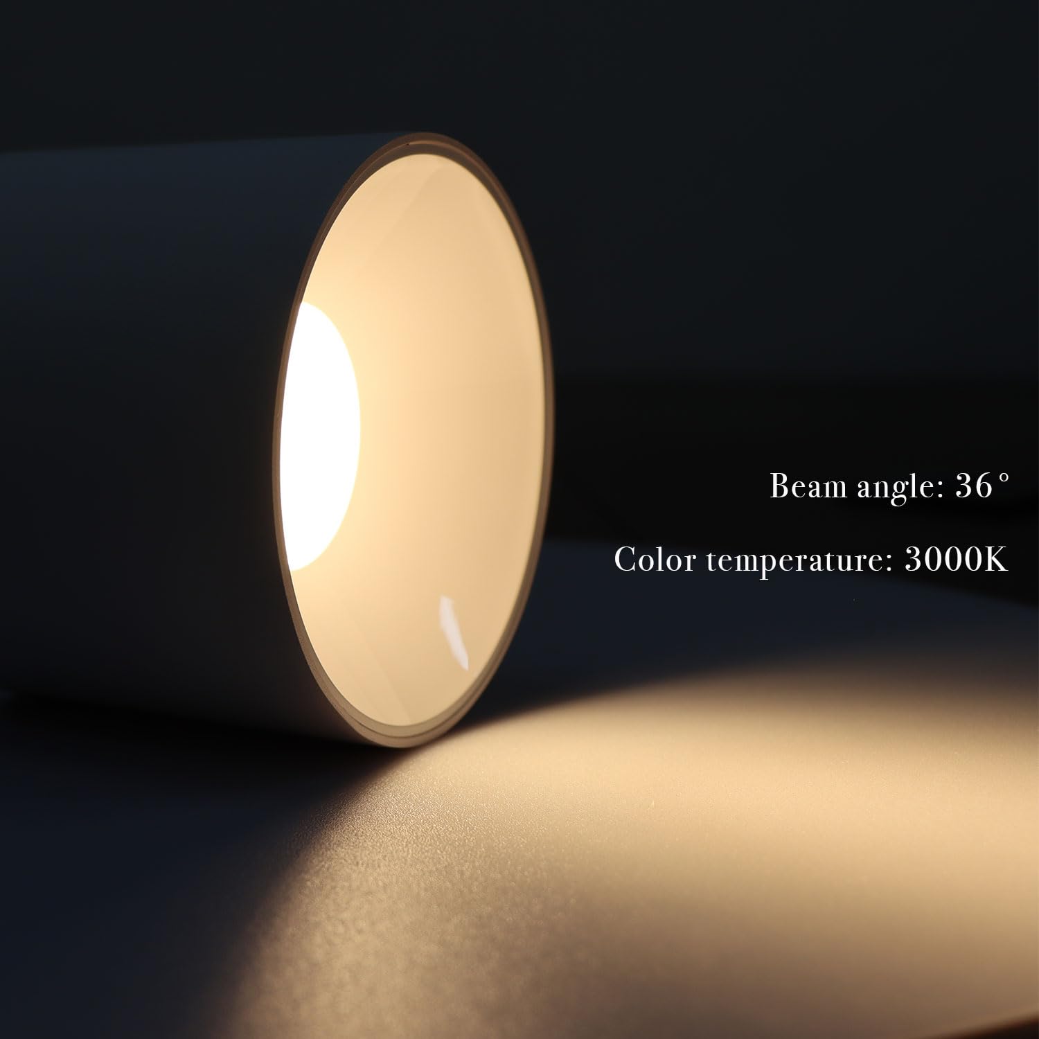 Marknice Led Dimmable Ceiling Spotlight Aluminum White 4.72" Cylinder Spot Light Indoor Modern Minimalist Focus Accent Down Light For Cylinder Hallway Kitchen Foyer Cri 98 12W 3000K