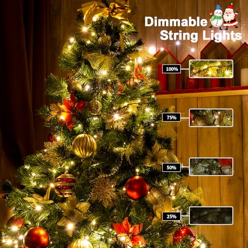 Zaiyw 50Led Battery Operated String Lights 16.5Ft With Remote & Timer, Warm White, 4 Pack