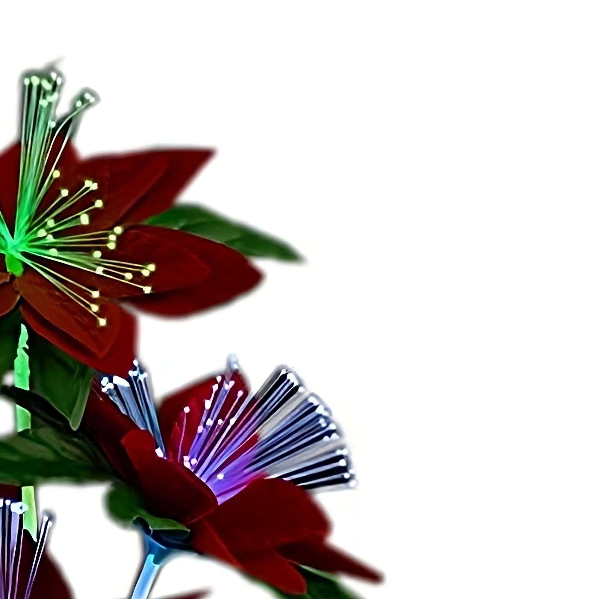 blinkee Festive Luminescent Poinsettia Centerpiece - Fiber Optic Floral Display, 11.5in x 5.5in, Plastic, Blue/Green/Red, Model F
