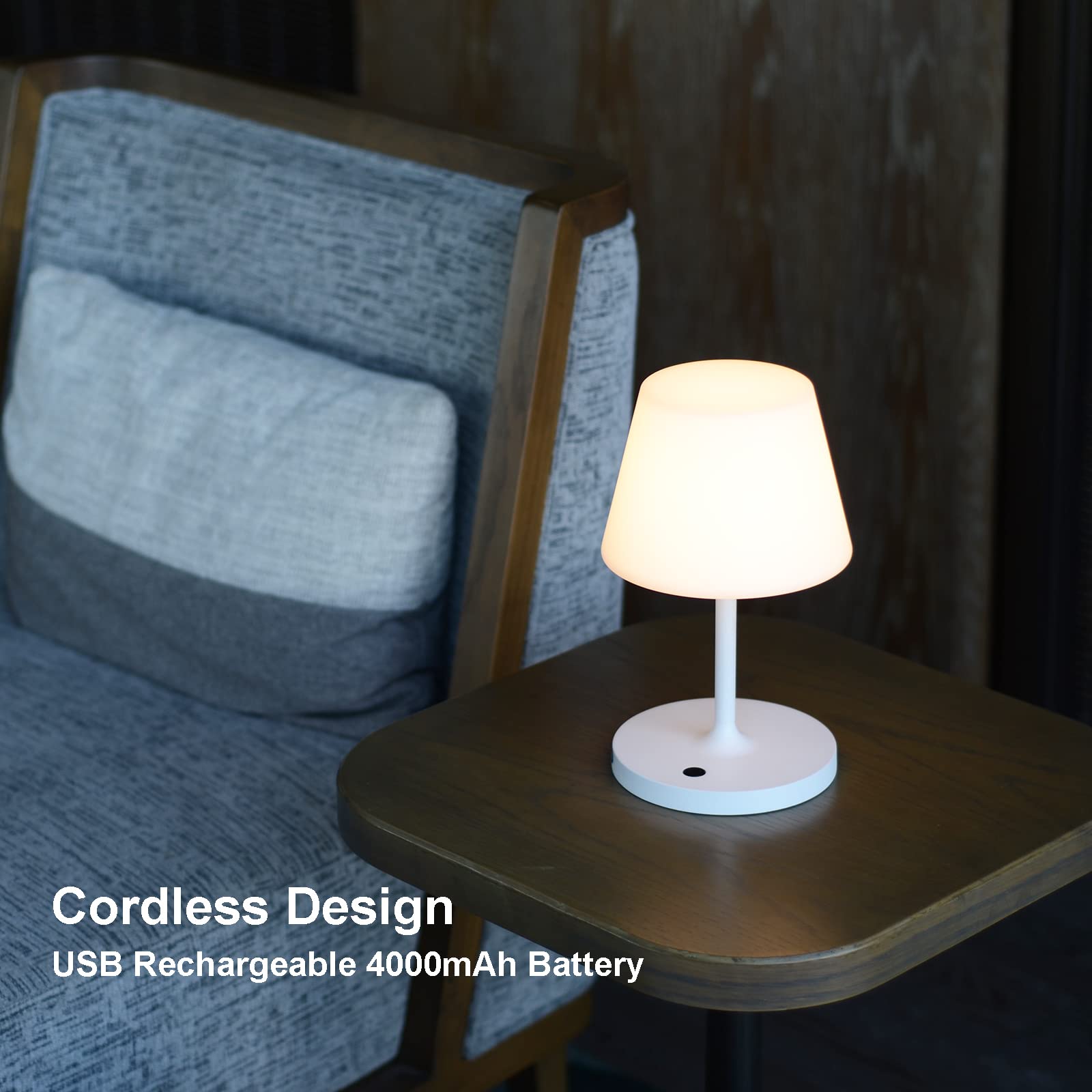 LOTITOL Outdoor Table Lamp, Cordless USB Rechargeable, 4000mAh, 2700K LED, Touch Dimmable, 9.6in, White, Model LTL