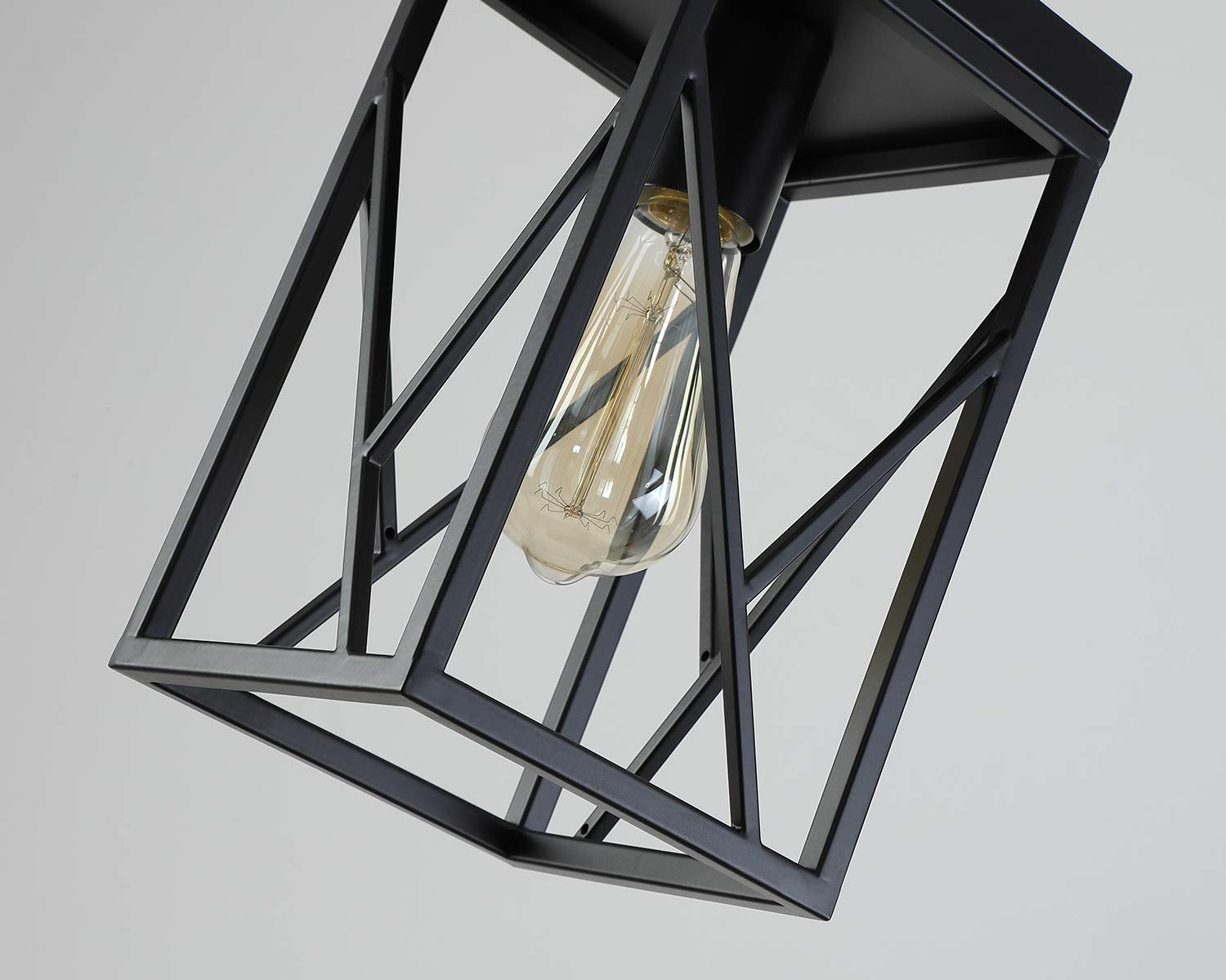 Fivess Lighting Modern Mini Pendant Light, One-Light Metal Cage Fixture, Adjustable Rods, Black, Model CA5201-2