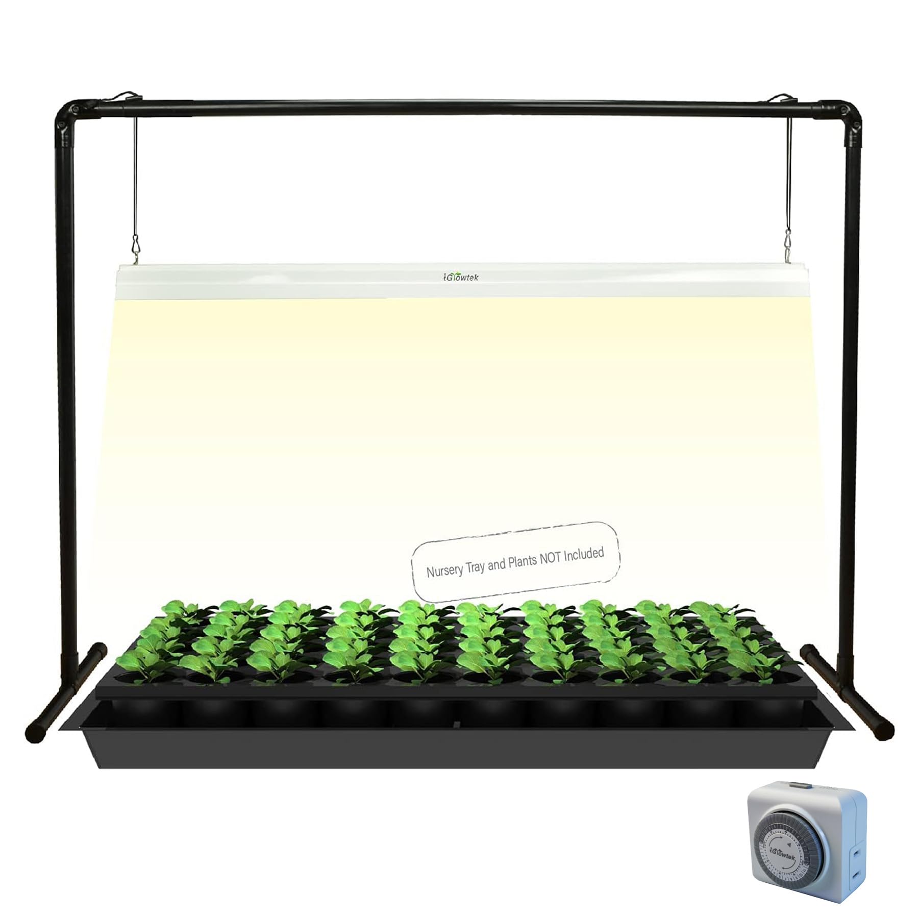 iGrowtek 2 feet LED Grow Light Stand for Seedling Iron Pipe Frame with Natural White Light Full Spectrum LED Plant Growing Lamp  Light Height Ajustable with ON/Off Switch