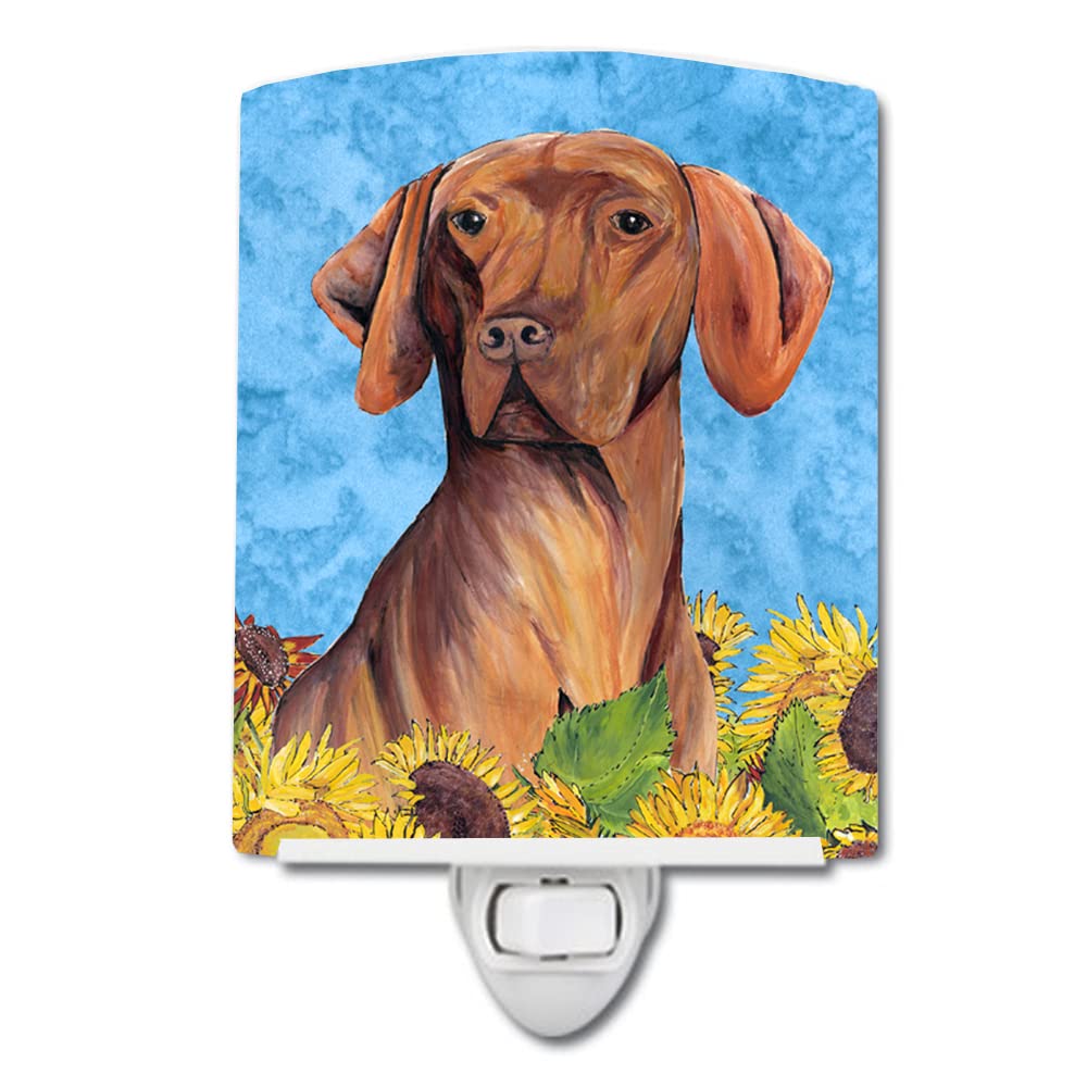 Carolines Treasures Ceramic Night Light, Vizsla Design, UL-Certified, 6x4x3 inches, Multicolor, Model SC9079CNL