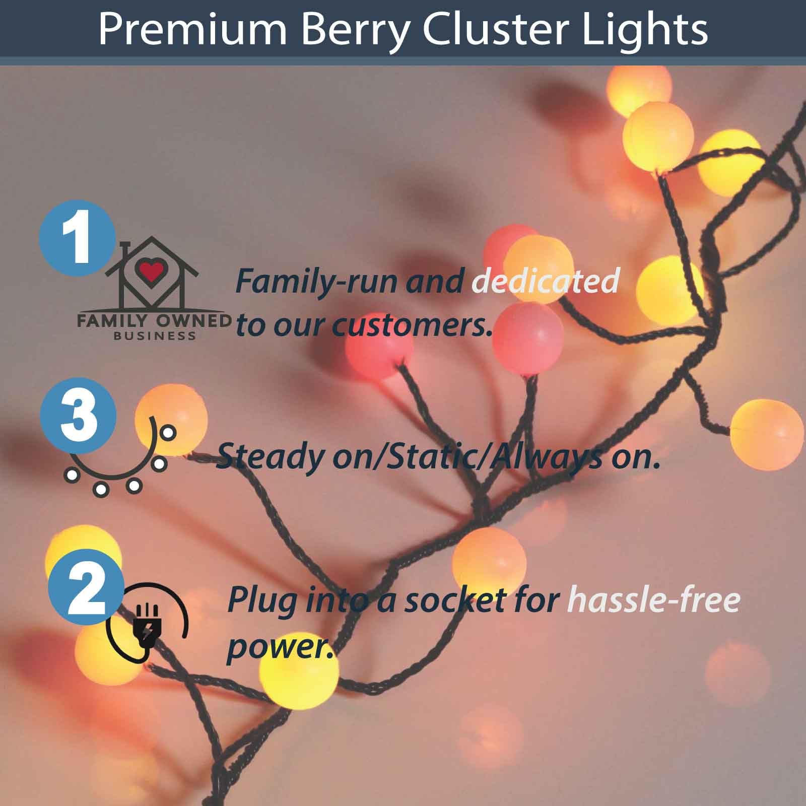 QBIS 120 Berry Cluster Lights, Halloween Fairy String Lights, Indoor/Outdoor, Red Orange Yellow, Model B120CLU-5V-SS-BL