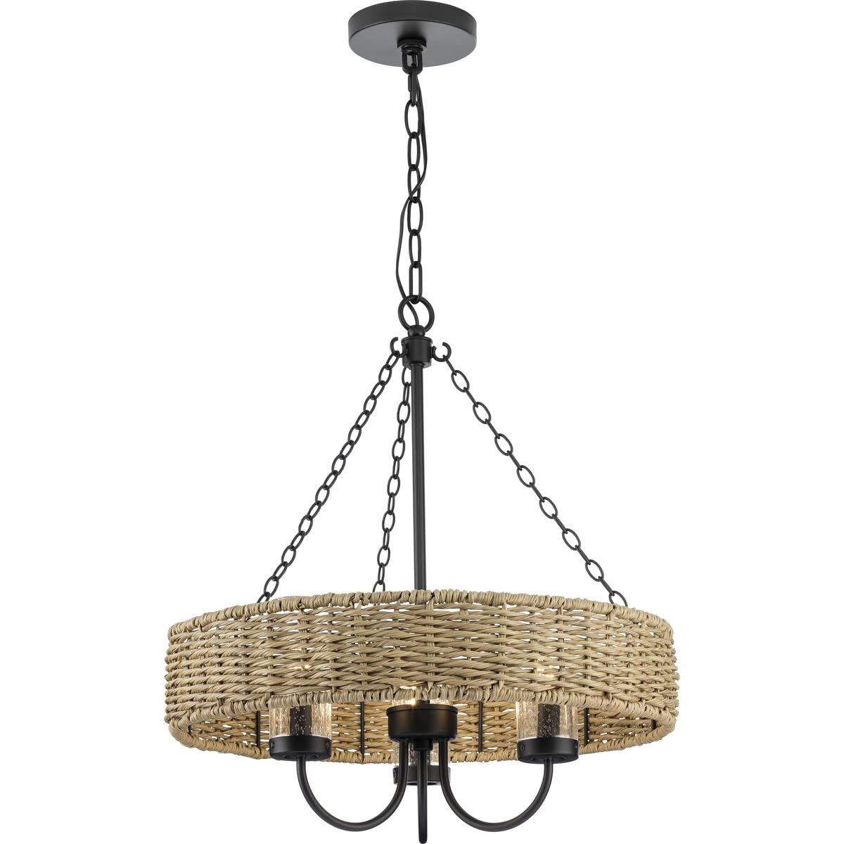 Progress Lighting 1-Light Outdoor Pendant, Matte Black with Mocha Rattan Accents, Model P550127-31M, Alloy Steel Construction
