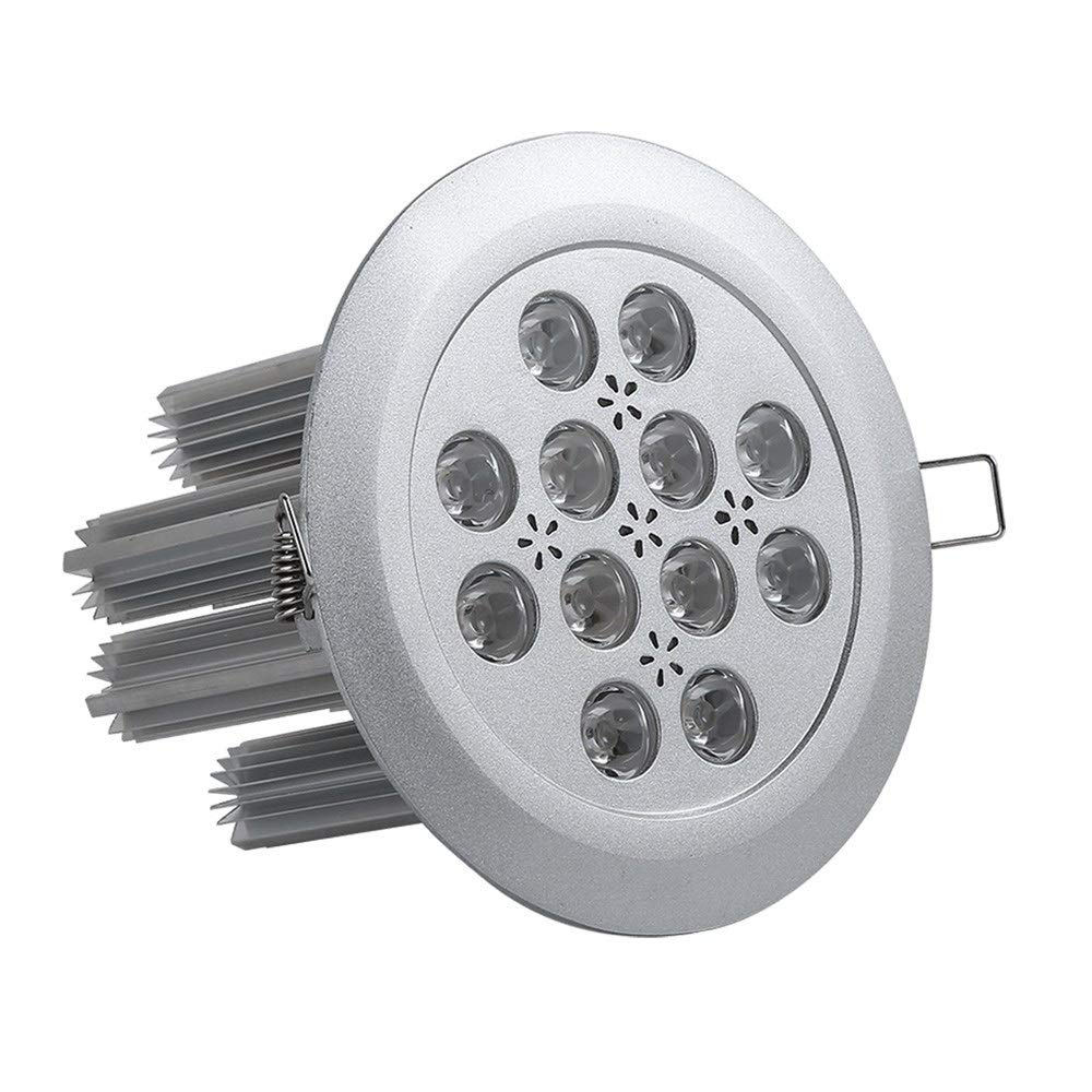 OZZKI Recessed 36W LED Super Bright Decorative Downlights Round Recessed Led Spotlights Aluminum Housing CRI 80+ Energy Saving I