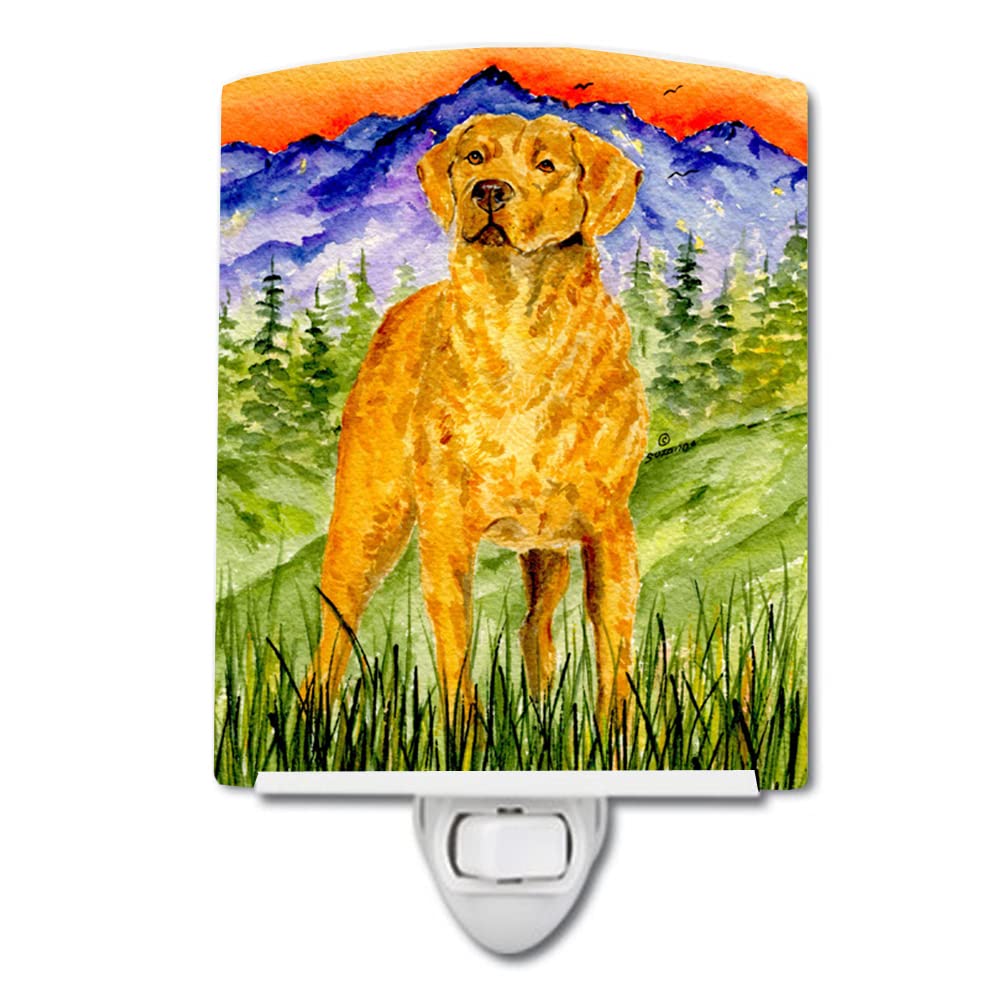 Carolines Treasures Ceramic Night Light, Chesapeake Bay Retriever, 6x4x3in, UL-Certified, Ideal for Bedroom, Bathroom, Nursery