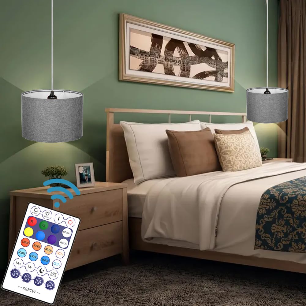 ZSLAIFU 15FT Plug-in Pendant Light with Switch, Remote Control, Grey x2, Model PL001, Plastic Material