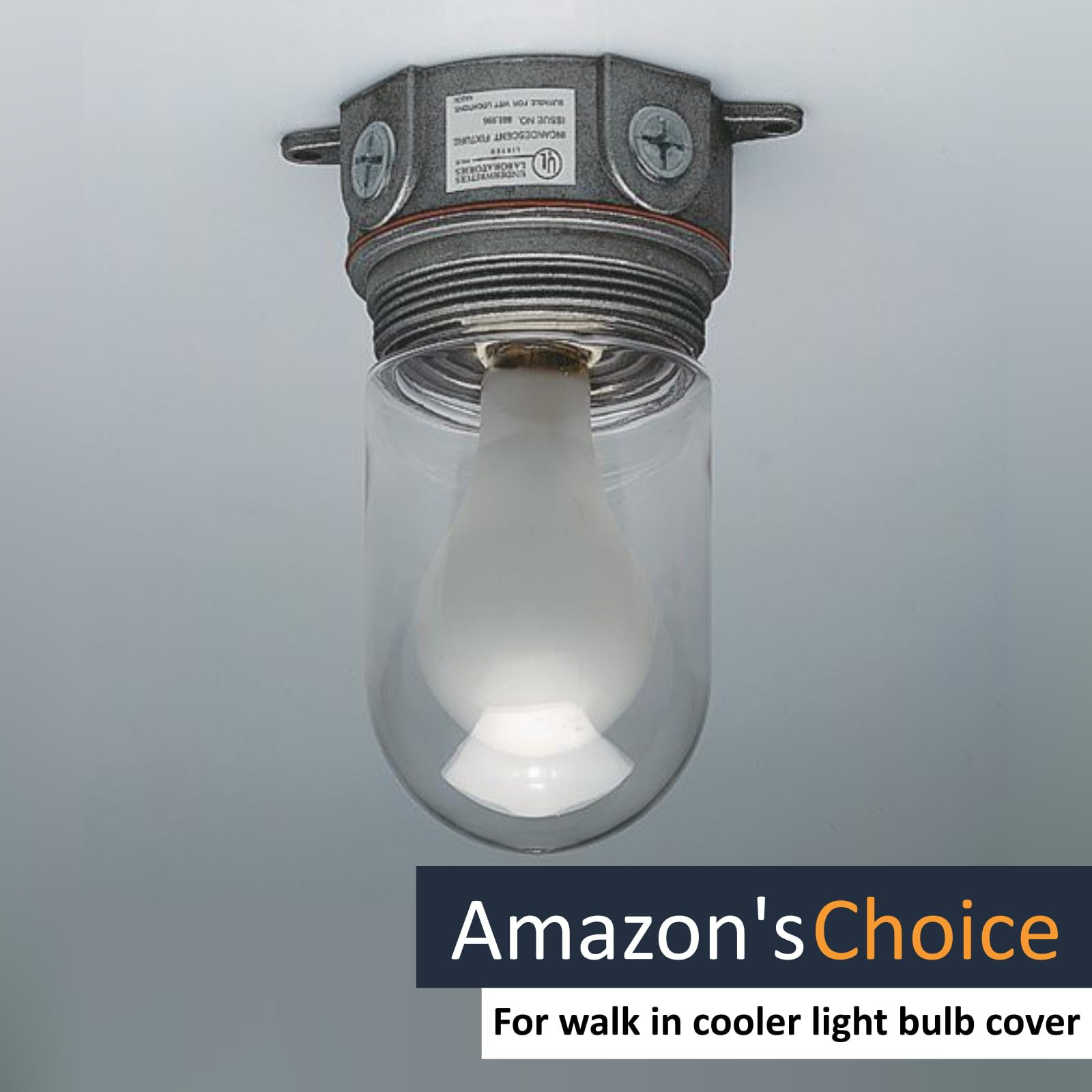 2-Pack Light Bulb Cover, Sturdy Clear Glass Light Bulb Protector Cage For Outdoor Globe, Dining Fan Fixtures Cover, Lighting Cov