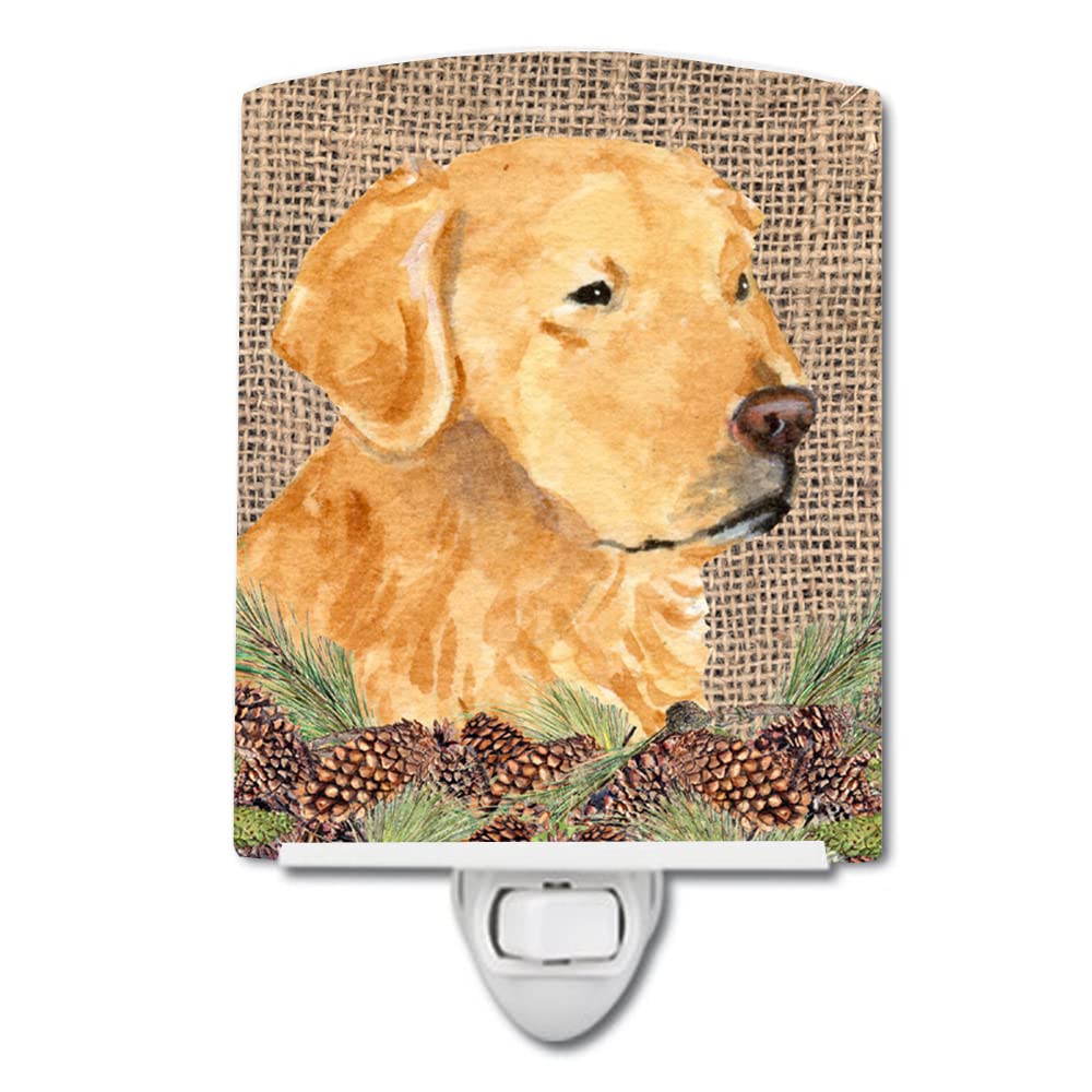 Carolines Treasures Ceramic Night Light, Golden Retriever, 6x4x3 inches, Model SS4067CNL, Ideal for Bedroom, Bathroom, Nursery, Multicolor