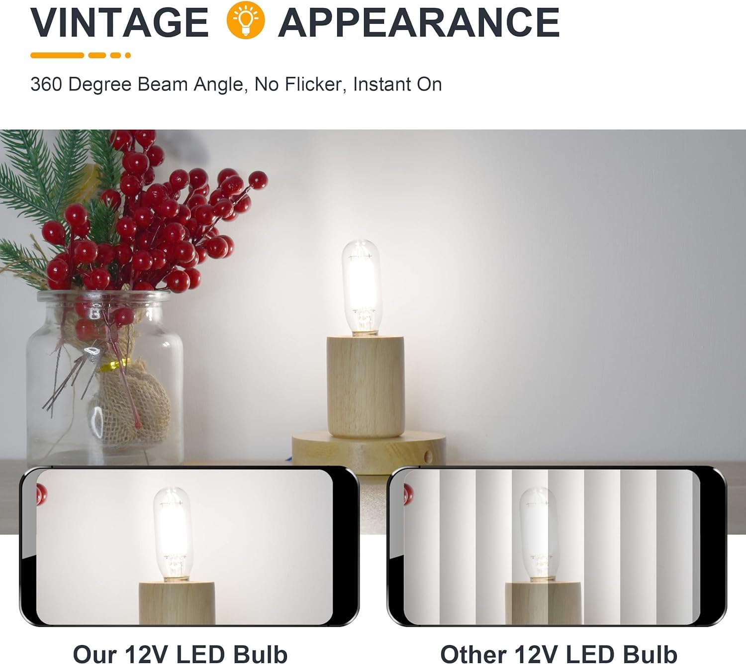 Tokcon 12V Led Light Bulbs - Daylight 5000K 4W(Only For 12 Volt Dc/Ac) - E12 Small Candelabra Base - 40W Equivalent Dimmable Low