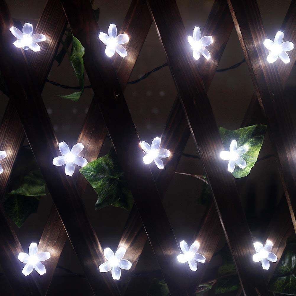 NOVALUC 16 Led Blossom Flower String Lights Plug in Fairy Lights for Diwali Christmas Home Decoration (3 Meters, White)