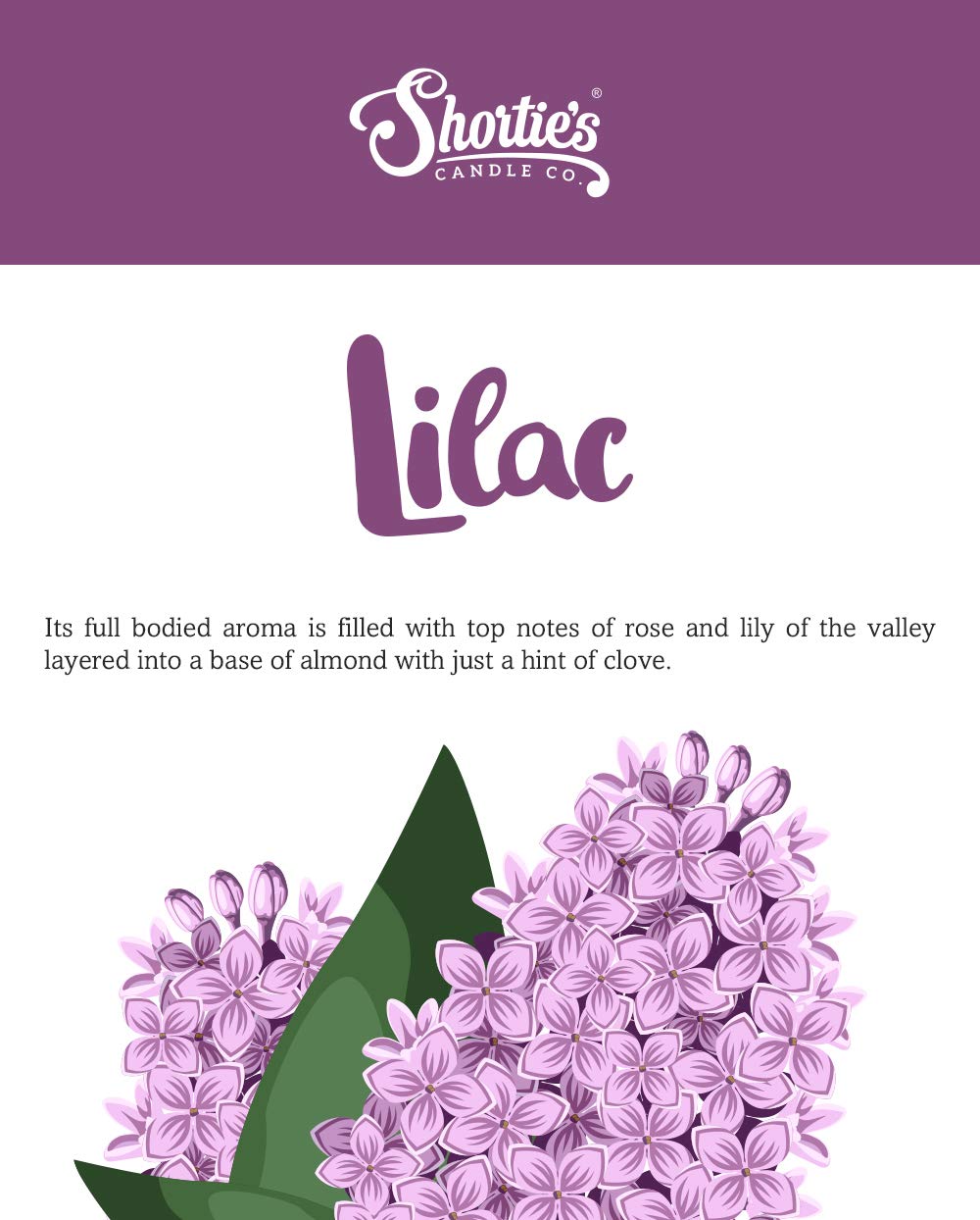 Pure Lilac Premium Tealight Candles Multi Pack - Highly Scented With Essential & Natural Oils - 12 Purple Tea Lights - Beautiful