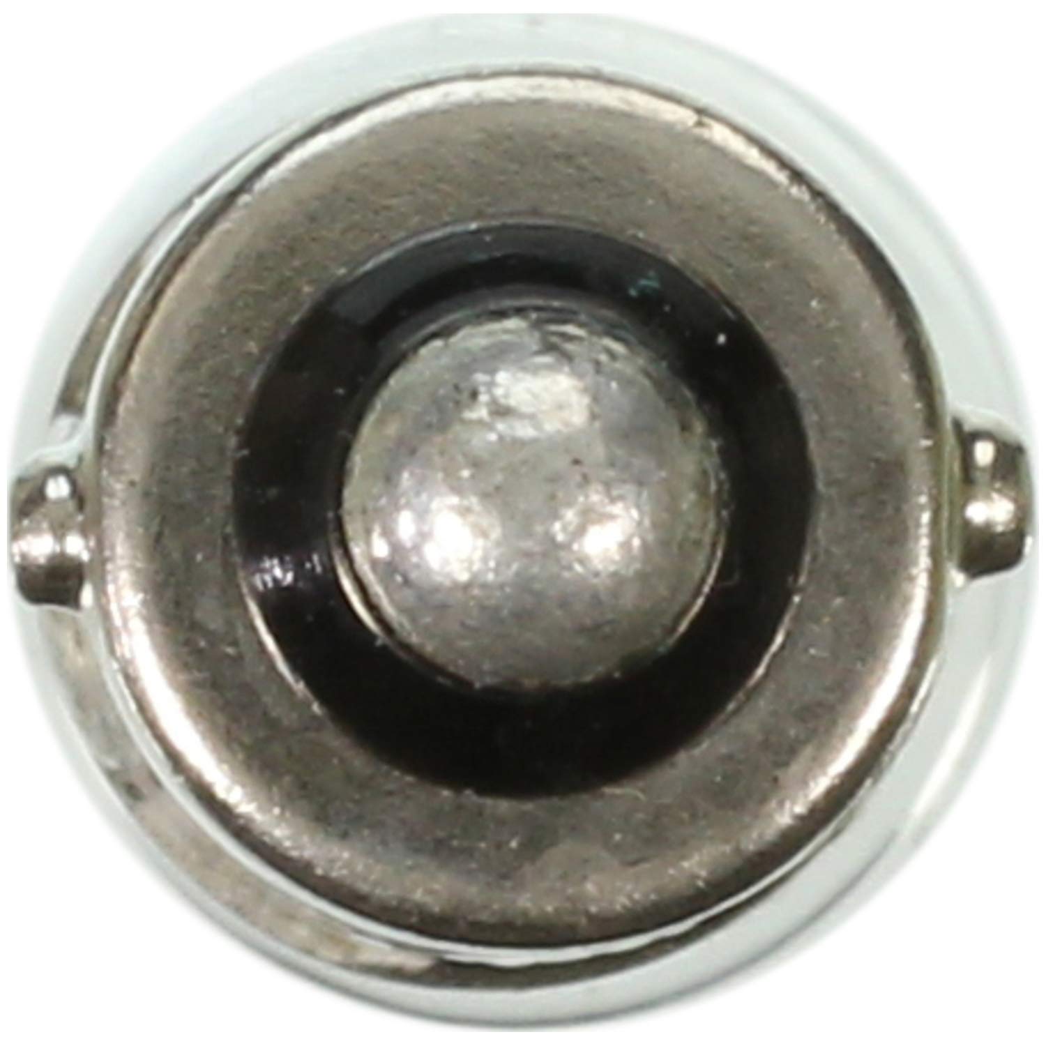Wagner Lighting 53 Miniature Lamp G-3 1/2