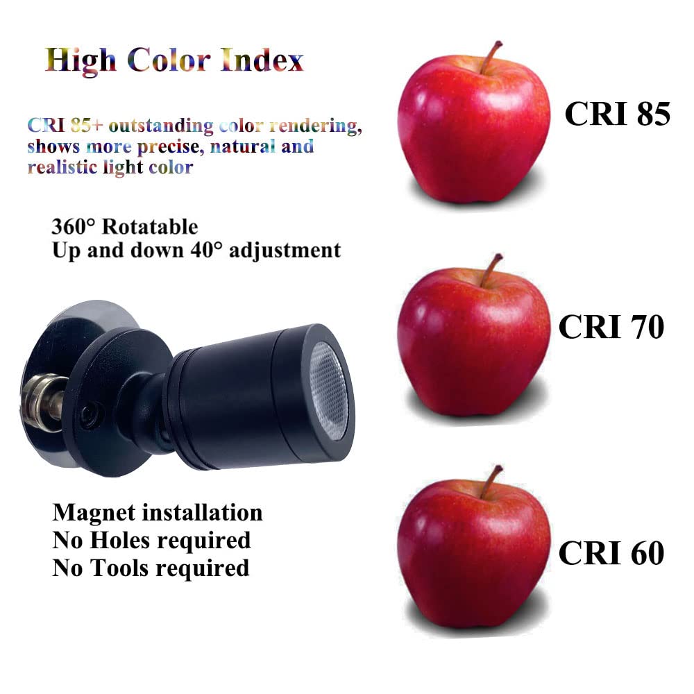 Taysing LED Spot Light - Indoor Accent Lighting for Art & Display - Cold White - 2 Pack - Model TSCLMN - Metal & Shell Construction