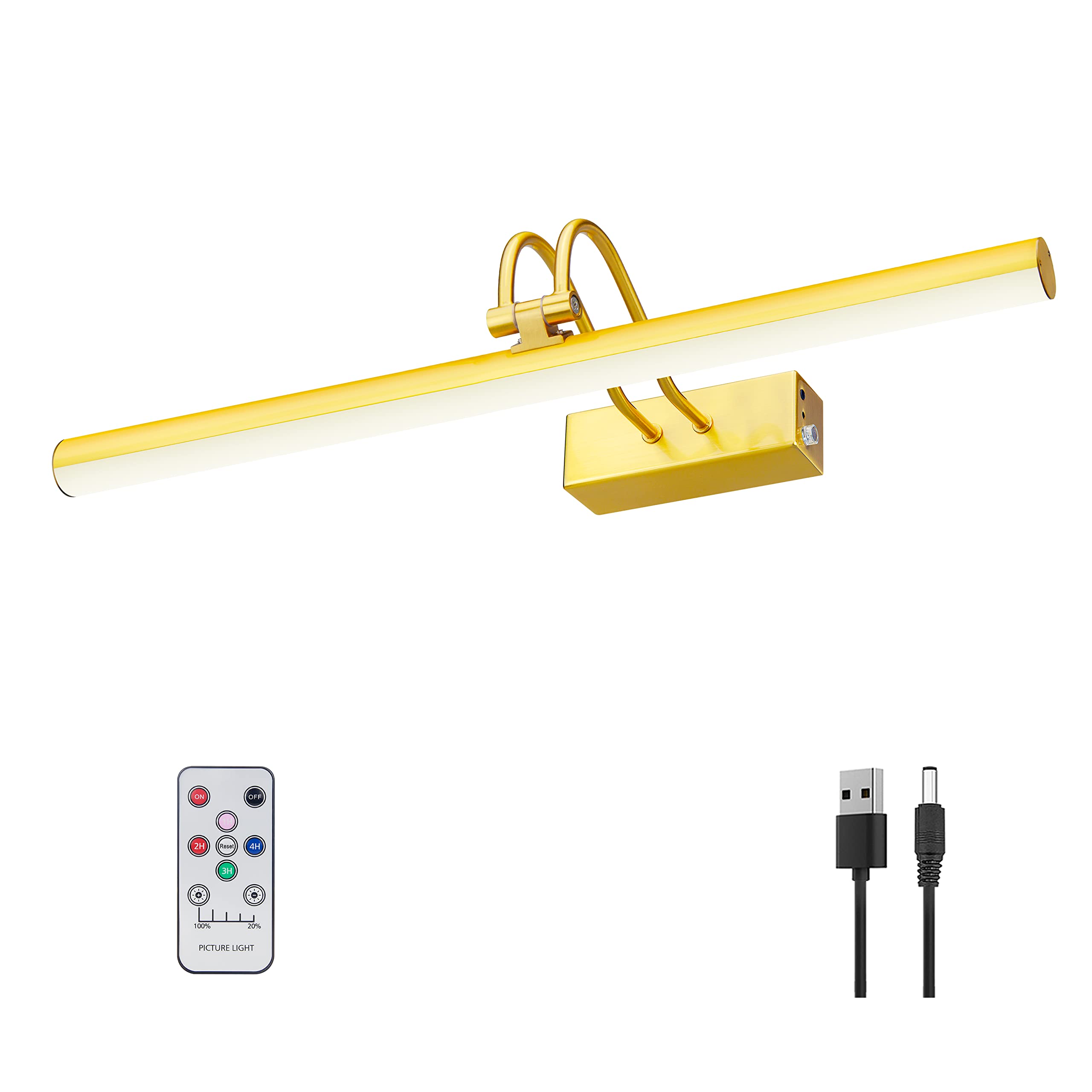 RAIFOOLLY Picture Light - 20in Battery Operated Art Light, Dimmable, Remote Control, Brass Finish, Model RF00181