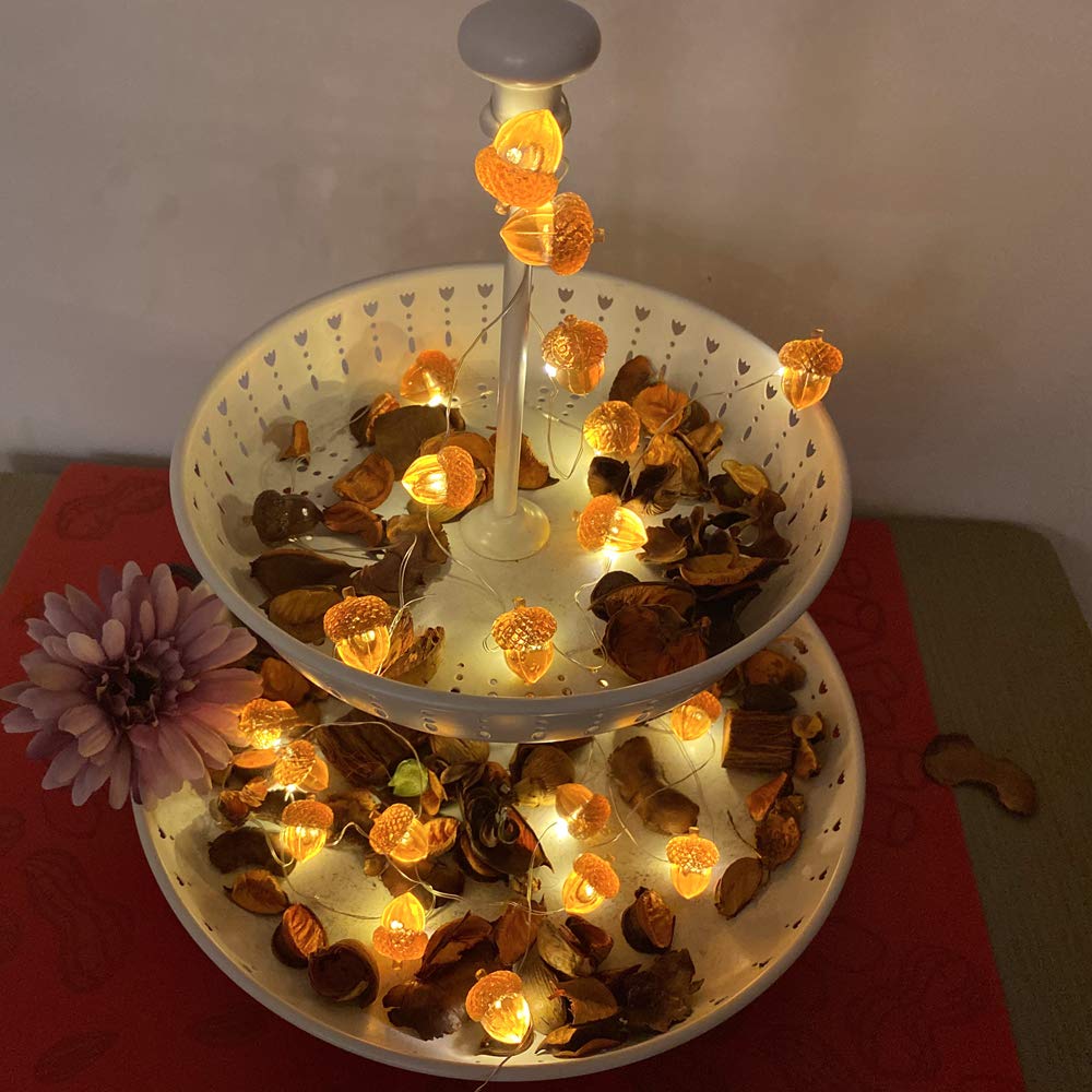 JASHIKA Acorn String Lights - Thumbnail 4