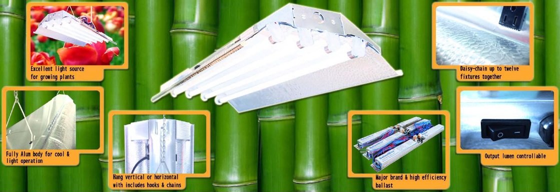 Durolux T5 Grow Light - 2 Ft 4 Lamps - Dl824 Ho Fluorescent Hydroponic Fixture Seeding Colon Veg Growing Daisy Chain With Bulbs