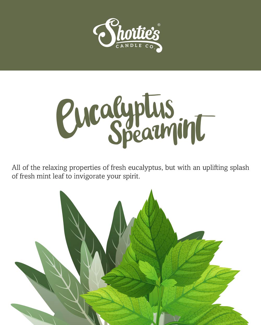 Eucalyptus Spearmint Premium Tealight Candles - Highly Scented With Essential & Natural Oils - 6 White Tea Lights - Beautiful Candlelight - Made In The Usa - Fresh & Clean Collection