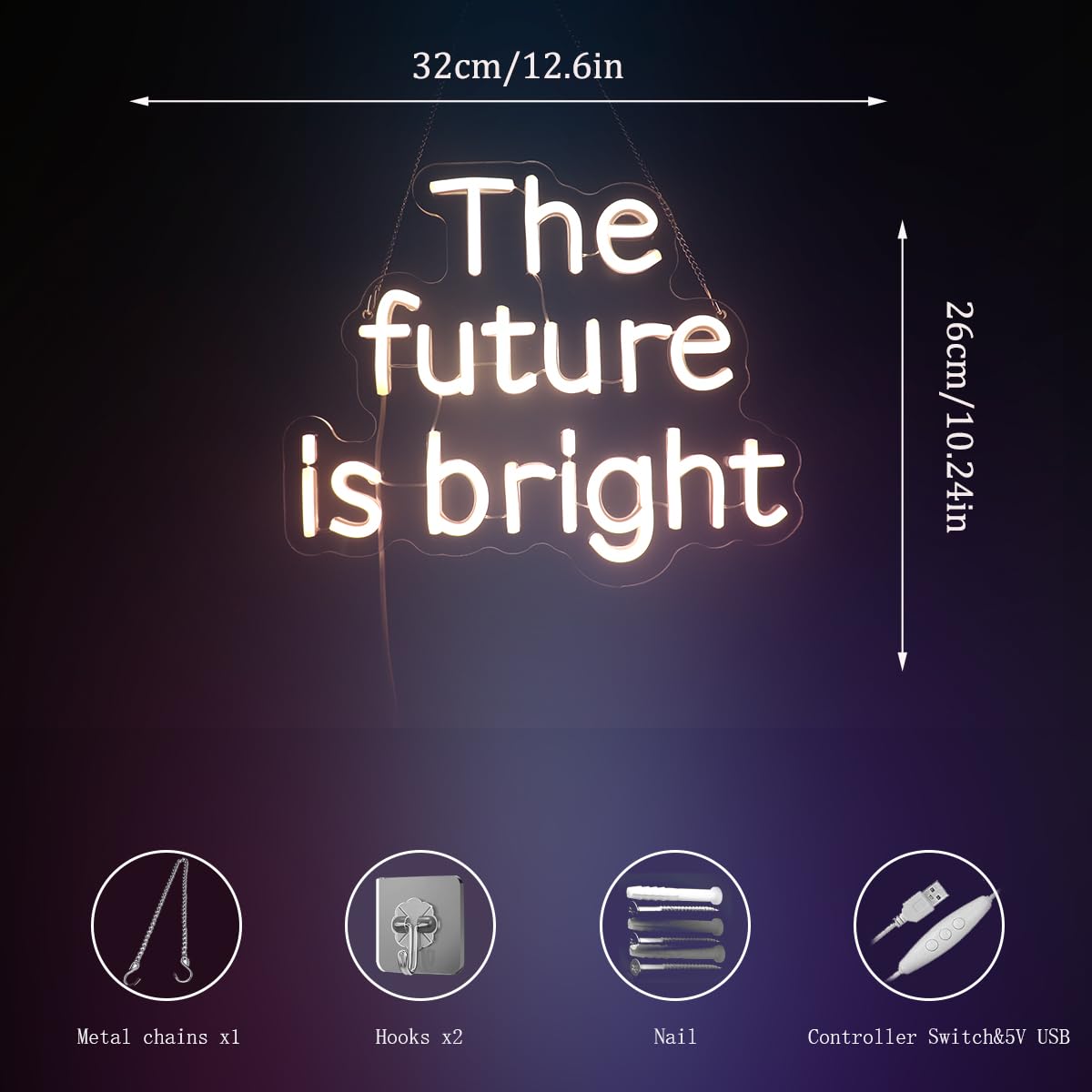 The Future Is Bright Neon Sign  Positive Quotes Decorative Neon Lights For Home Room Wall Decor  Office Wall Decor Neon Light Sign  Christmas Birthday Gift Thanksgiving Gift(Warm White)