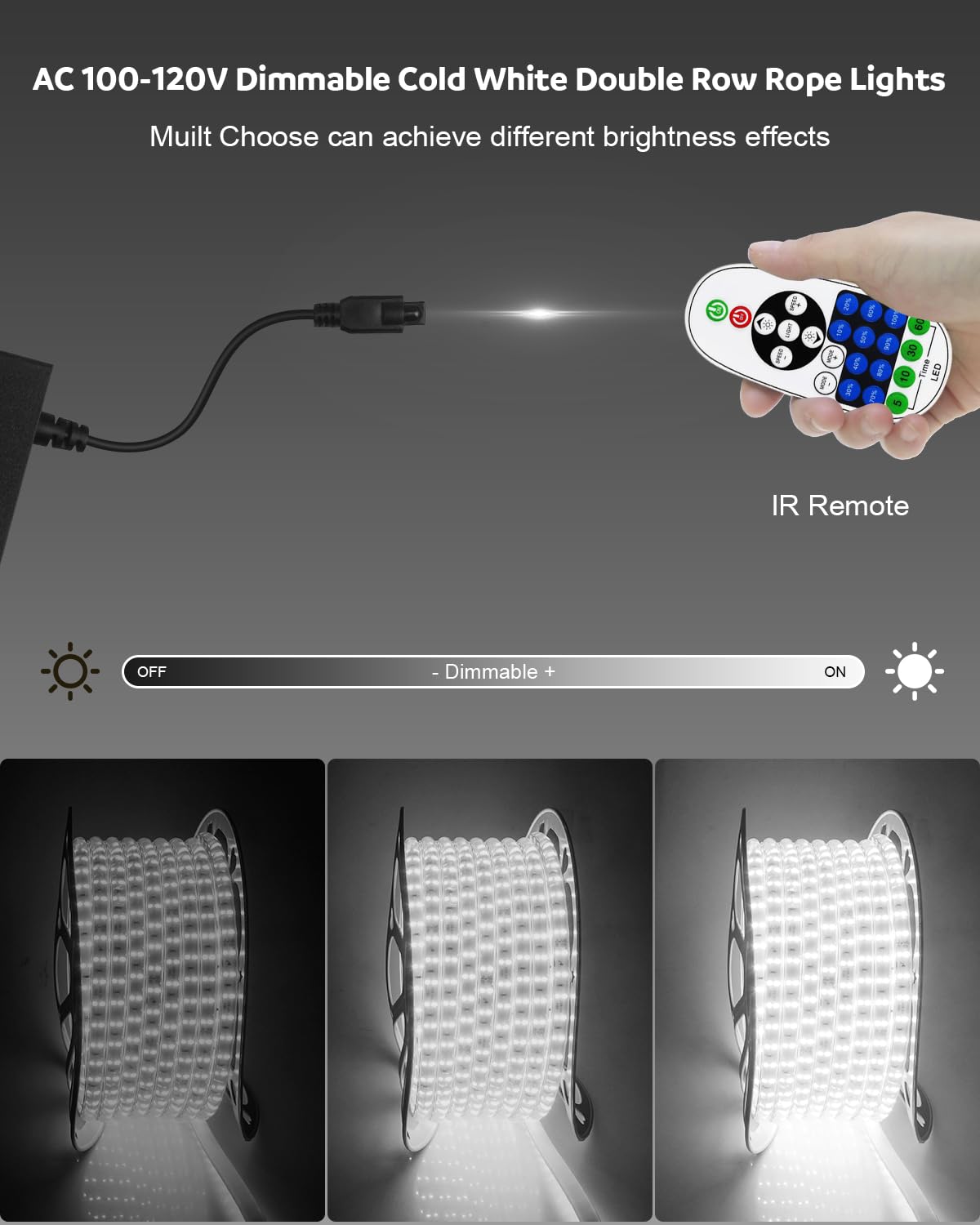 Aclorol LED Rope Light Waterproof 40M Double Row Cold White Dimmable with Remote Control for Outdoor AC110V-120V