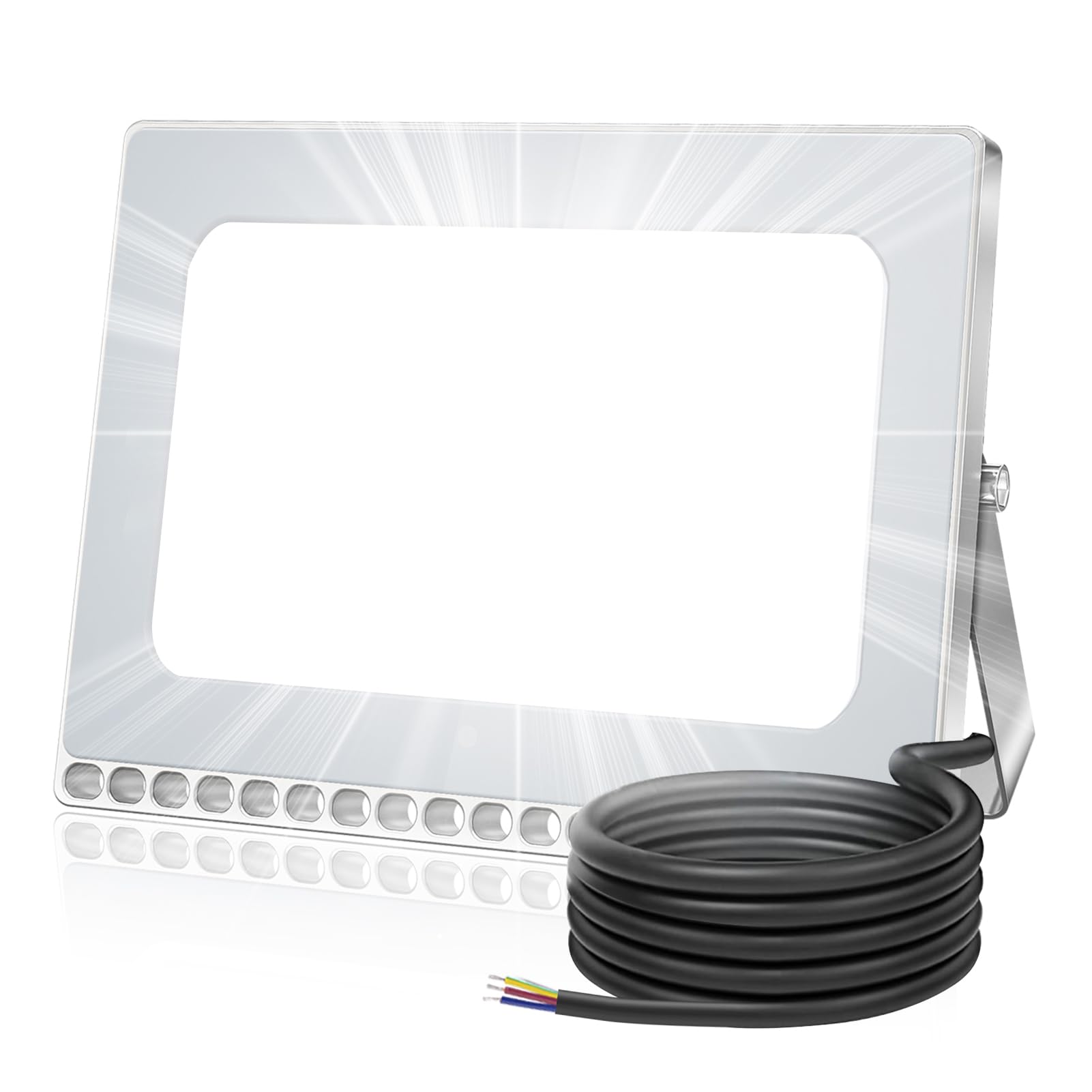 Viugreum 100W LED Flood Light, 8000LM, IP67 Waterproof, Daylight White (6000-6500K), Aluminum, Model D6NPT100W110