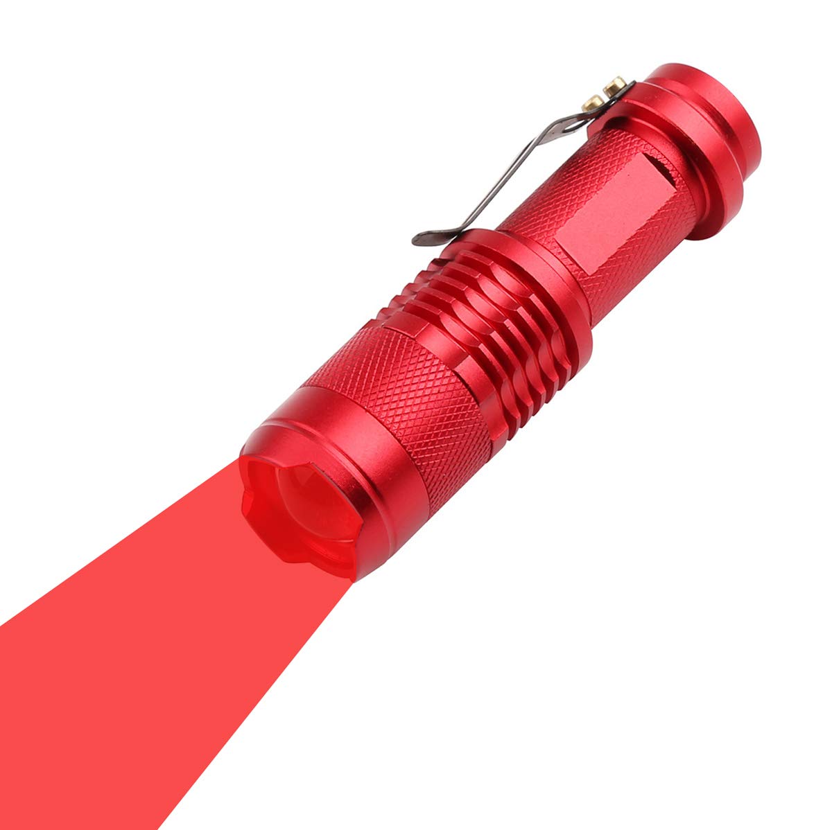 WAYLLSHINE Red LED Flashlight, 3 Modes, Long Range, Aluminum, Model LYSB00W5PCTPW, Ideal for Night Outdoor Work and Reading