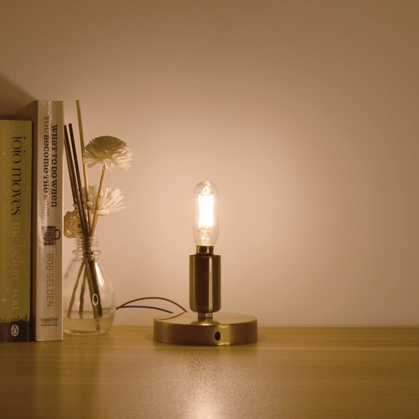 AIELIT T8 LED Light Bulb, Dimmable 4W, Soft White 3000K, Glass, 4-Pack