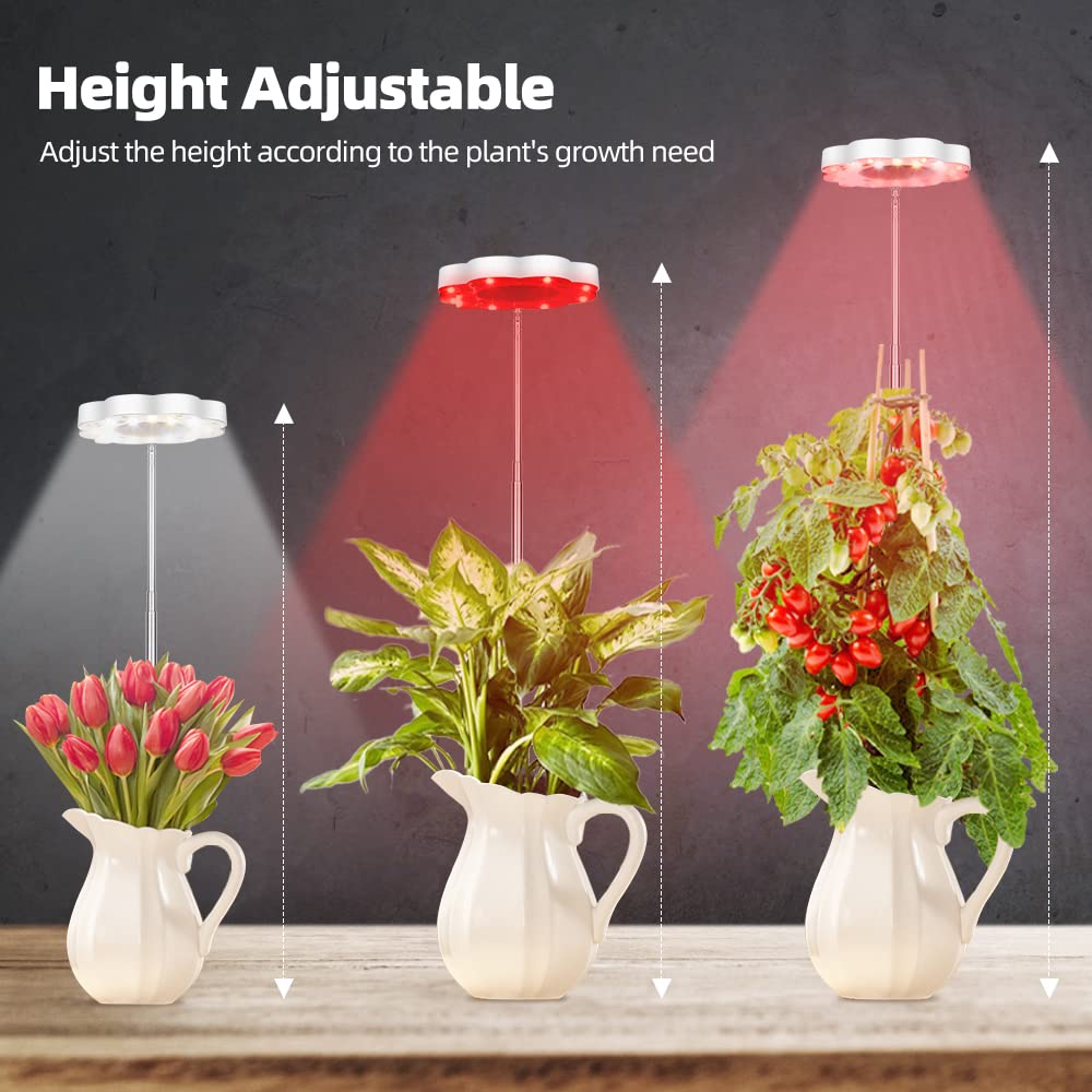Grow Light, Canagrow 2 Pack Full Spectrum Led Plant Lights For Indoor Plants, Height Adjustable Plant Halo Growing Lamps, Auto On/Off Timer, 3 Lighting Modes & 10 Dimmable Brightness For Small Plants