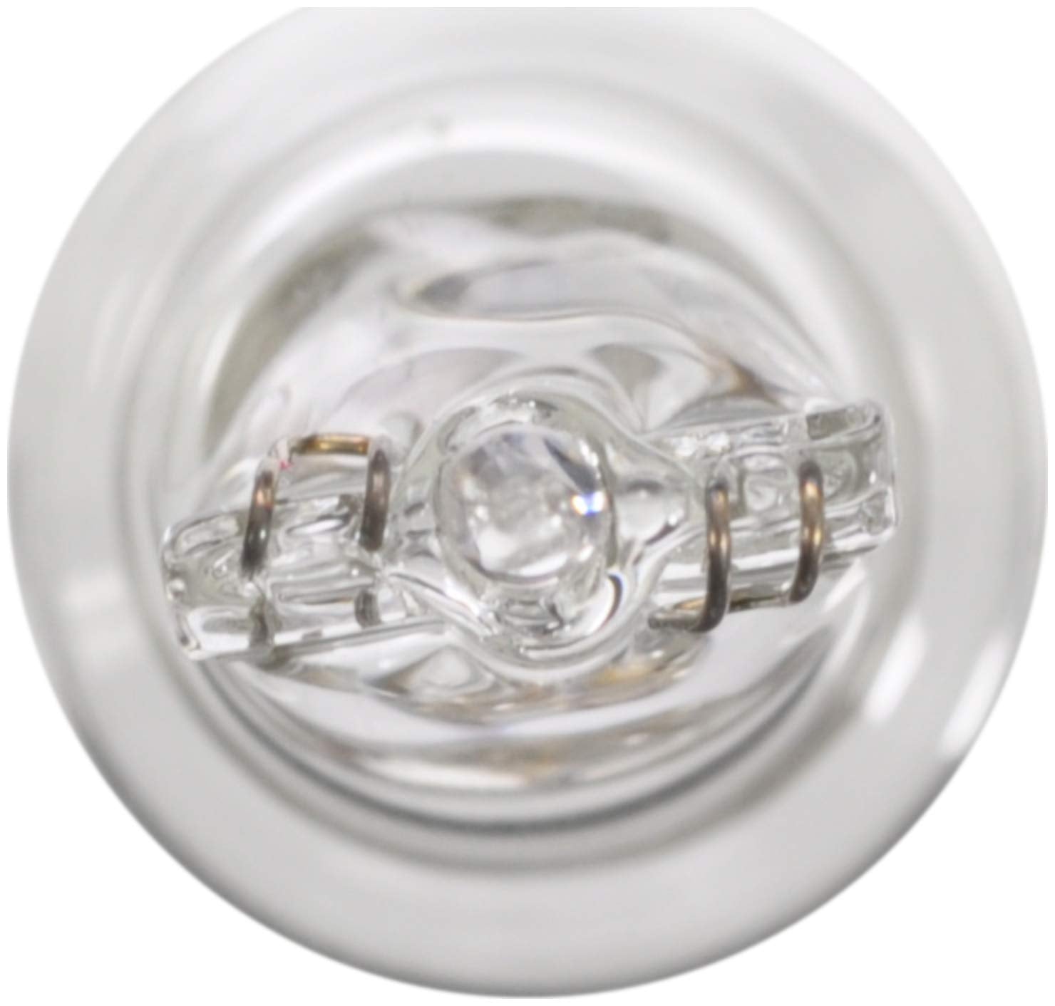 Wagner Lighting Bp916 Standard Multi-Purpose Light Bulb Card Of 2