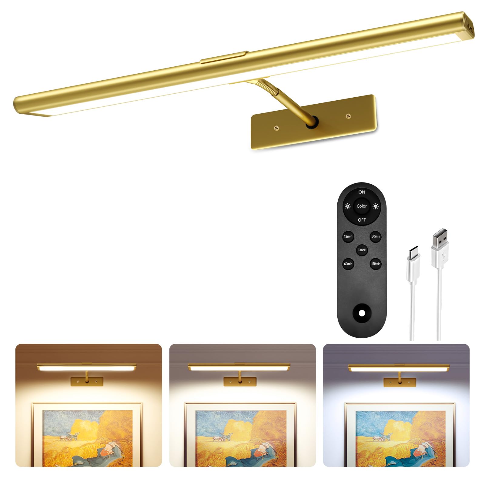EZVALO Picture Light for Wall, 4800mAh Rechargeable Wireless Remote Lights, 16 Dimmable Magnetic LED Art Painting Light with 3