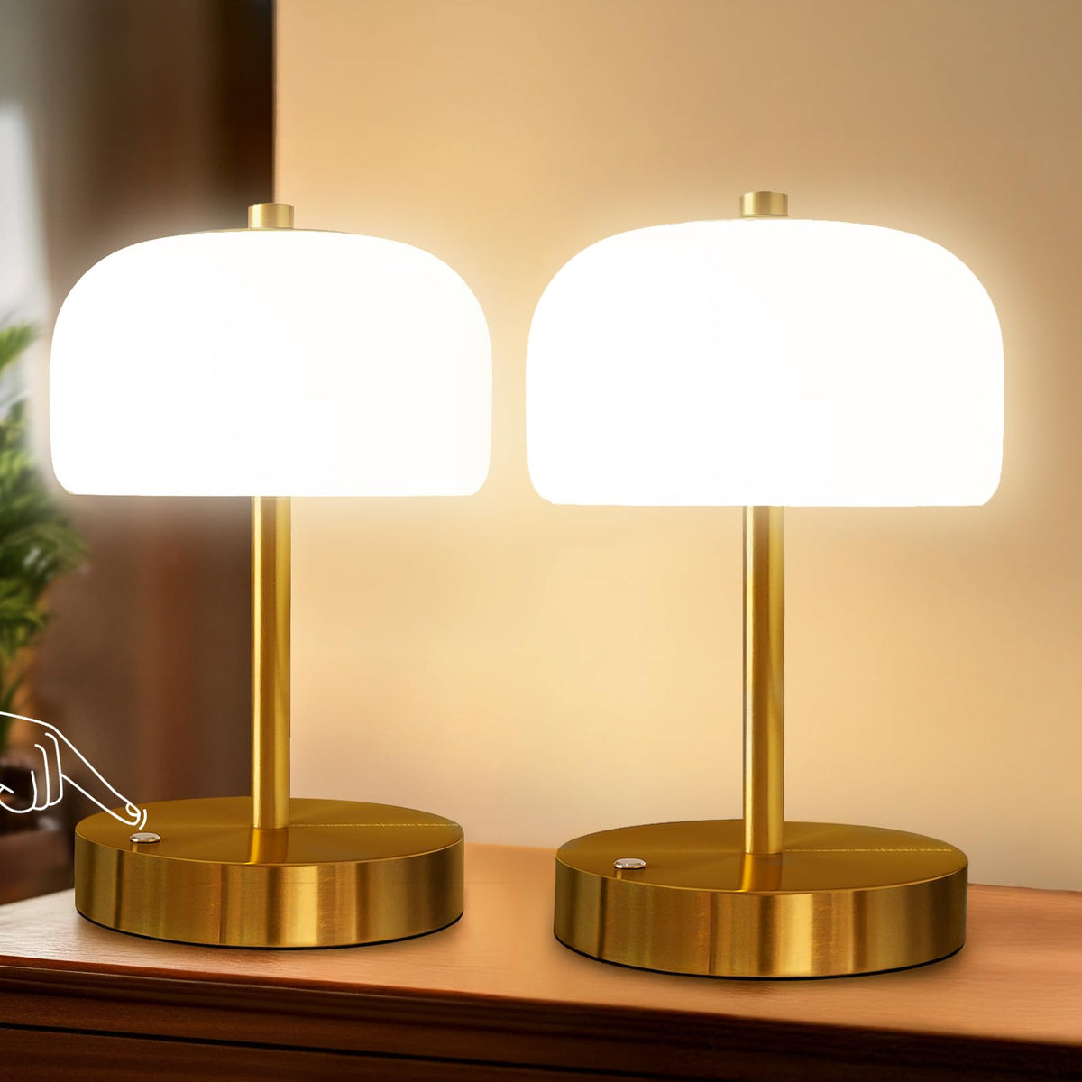 Customer Lamp Oneach Cordless Table Lamps Set of 2, 9