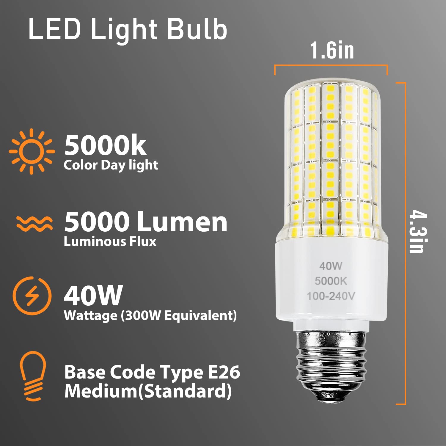 ZP A19 LED Light Bulb, 300W Equivalent, 5000 Lumen, Cool Daylight, Green, 2 Count, Waterproof for Indoor/Outdoor Use