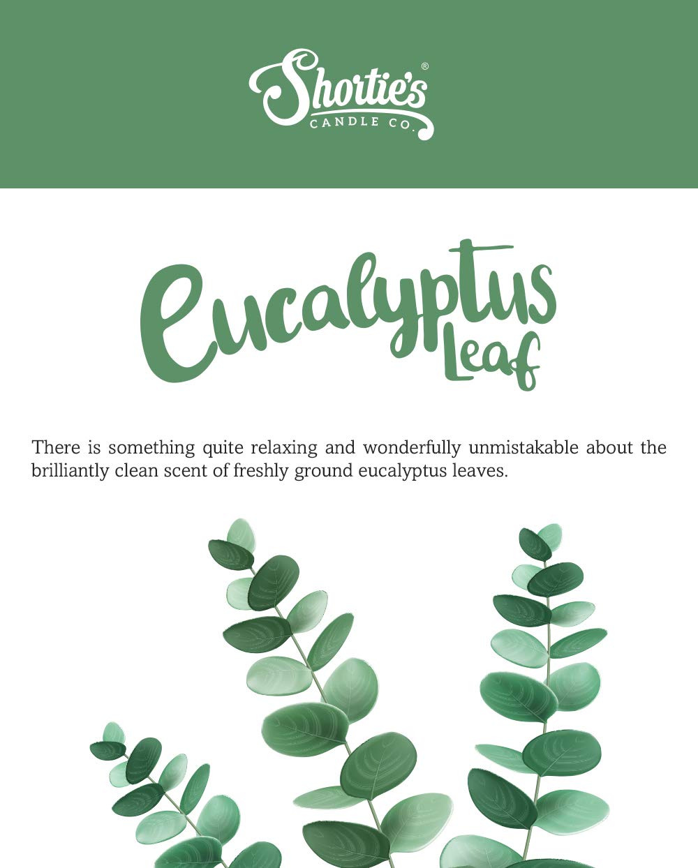 Eucalyptus Leaf Tealight Candles by Shortie's Candle Company - 6 Highly Scented Green Tea Lights - Made in the USA - Fresh & Clean Collection