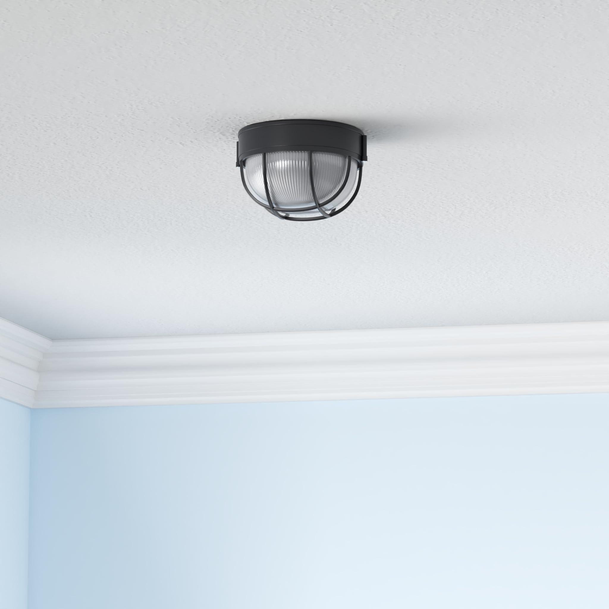 Canarm Iol17Bk The Outdoor 1-Bulb Flush Mount Exterior Light With Frosted Glass Globe, Black