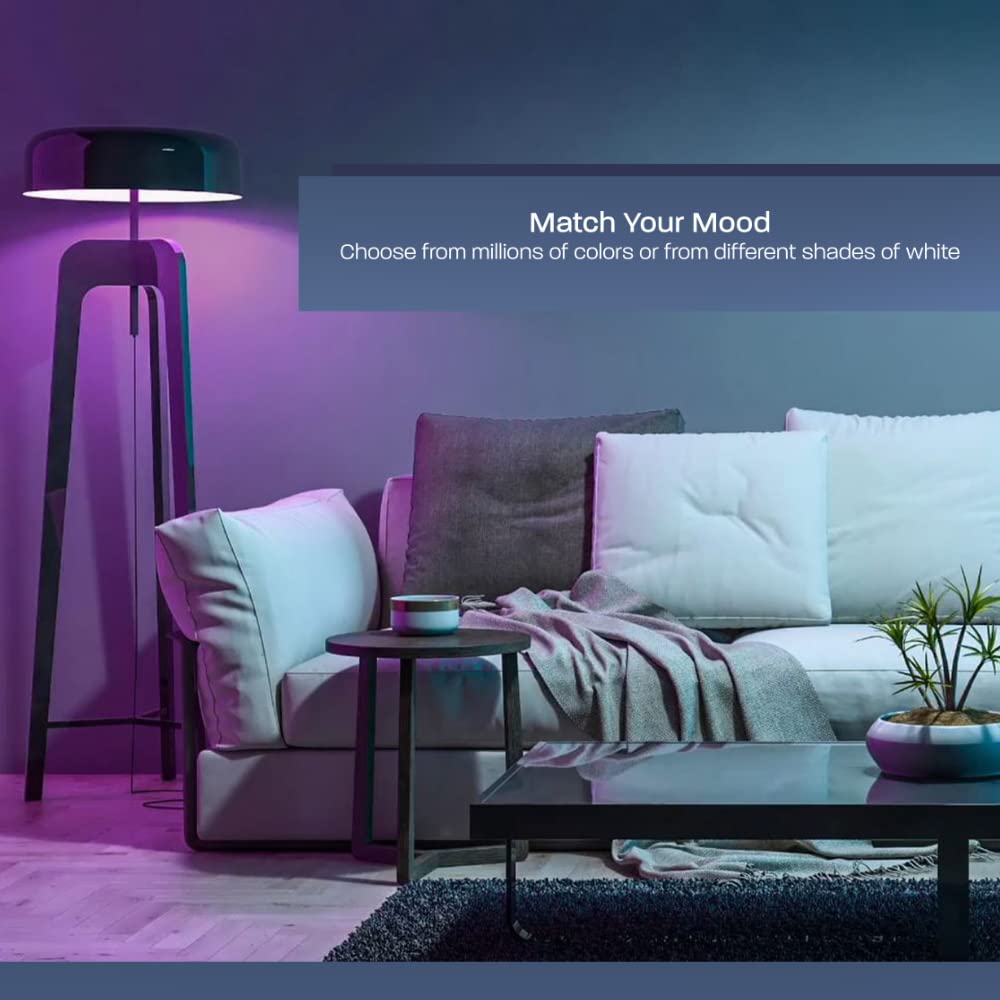 Feit Electric A19 E26 (Medium) Smart Wifi Led Bulb Color Changing 60 Watt Equivalence 1 Pk