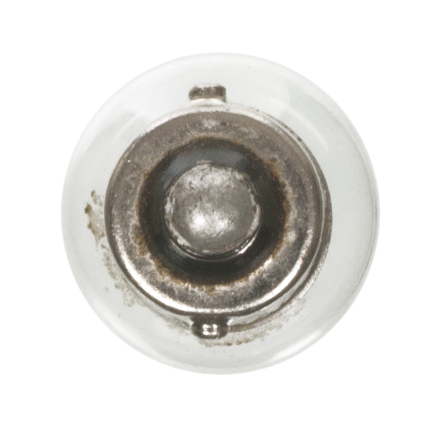 Wagner Lighting Bp17177 T-3 1/4 Bulb 13/32" (10Mm) Dia