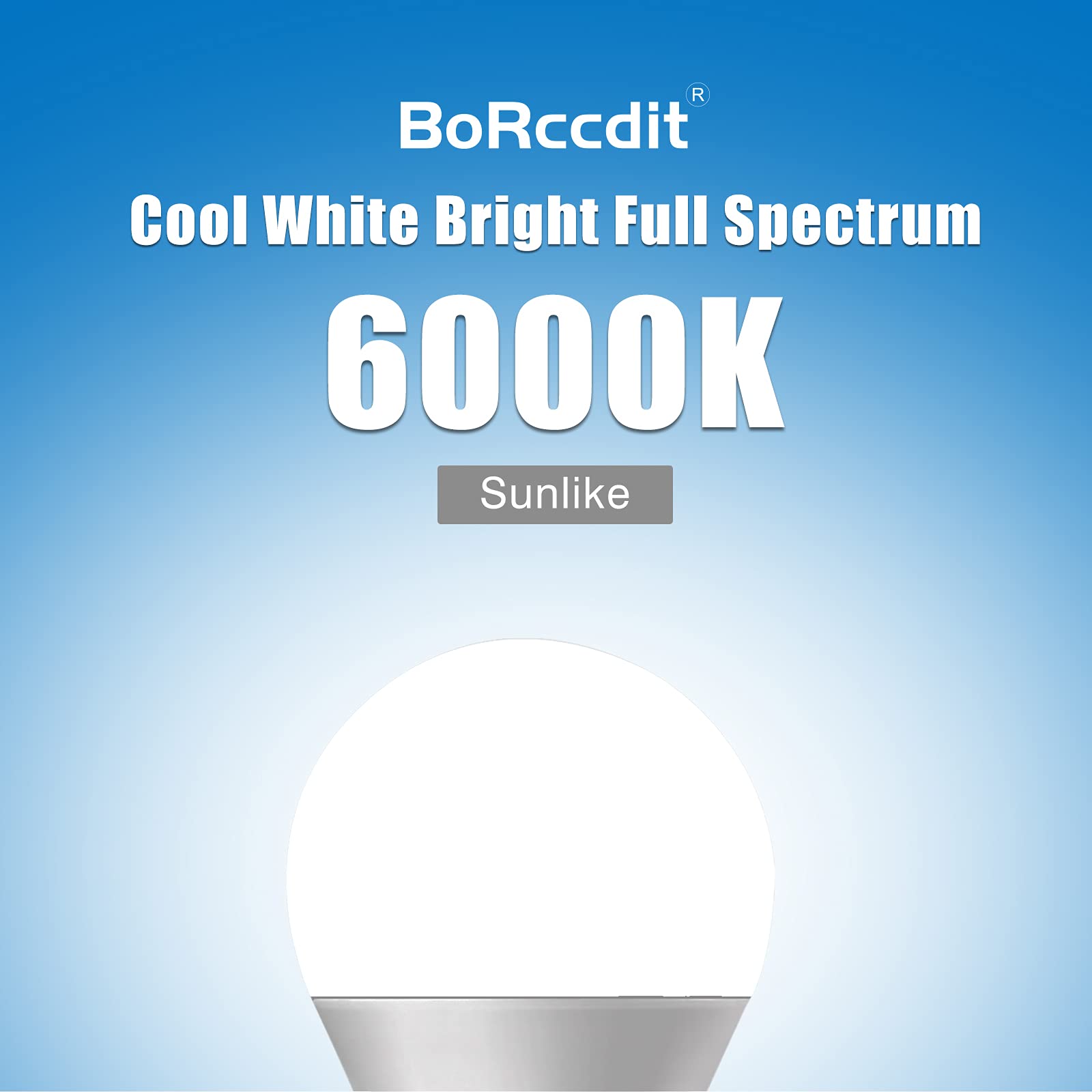 Borccdit Full Spectrum 6000K Natural Sunlight Bulbs, 9W Equivalent To 60W, Cool White Light, A19, E26/E27 Base (Pack Of 4)