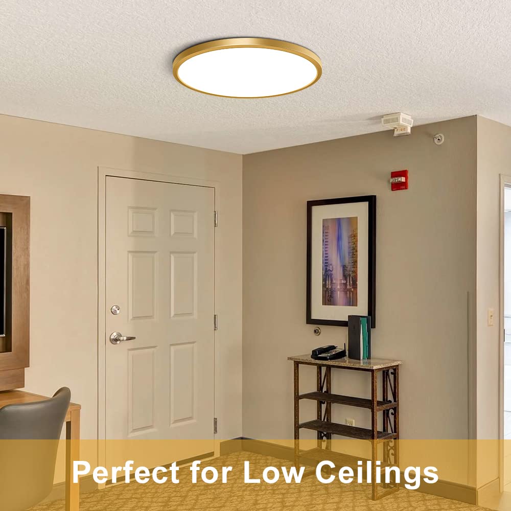 12 Inch Gold Led Ceiling Light Flush Mount, 5000K Daylight White Flat Led Ceiling Light, 24W 3200Lm, Round Low Profile Gold Ceiling Lights Fixture For Bedroom, Living Room, Dining Room (2 Pack)