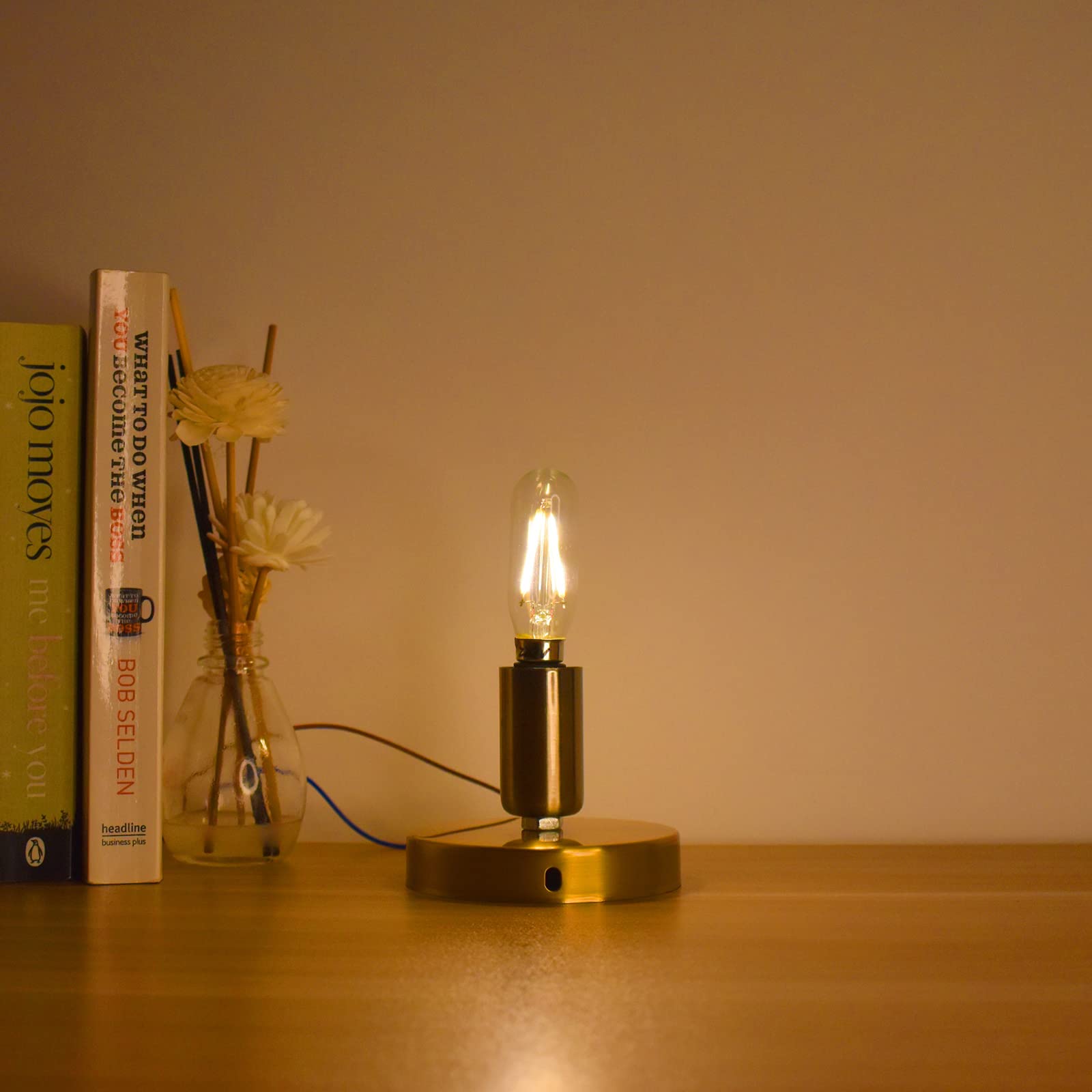 Antique T8/T6/T25 Led Light Bulbs, 2 Watt(25W Equivalent), Warm White 2700K, E12 Small Candelabra Base, Aielit Vintage Tube Edis