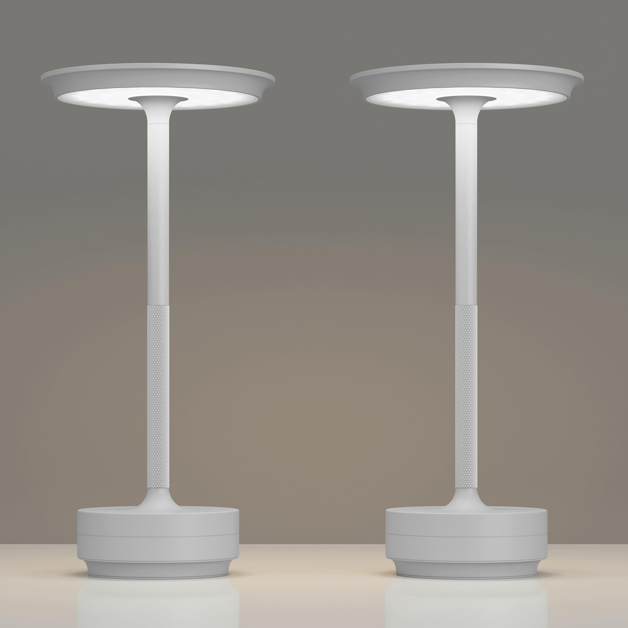TBBGA Rechargeable Table Lamps 5000mAh, 3 Color Dimming, Portable, Light Gray, Model T106C
