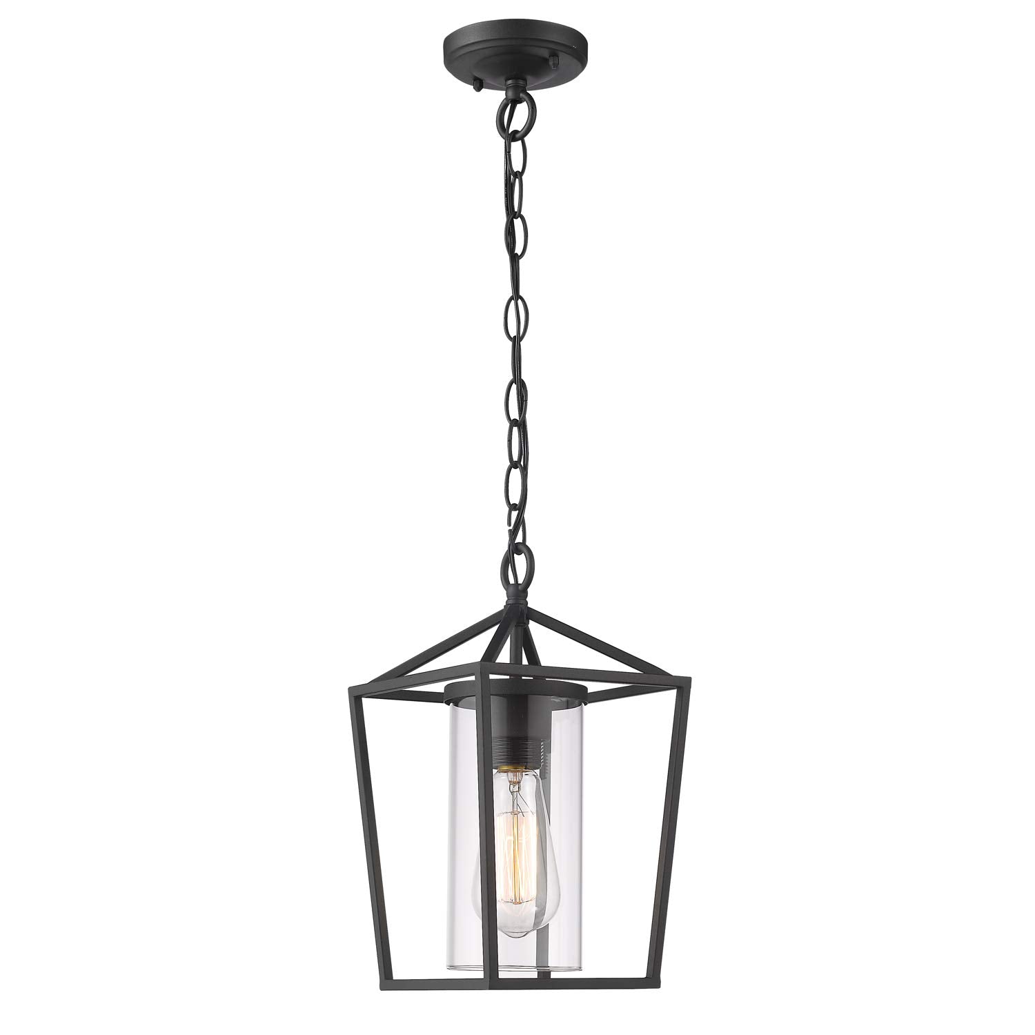 Emliviar Outdoor Pendant Light, 1-Light Hanging Lantern, Black Finish, Clear Glass, Model 20065H BK