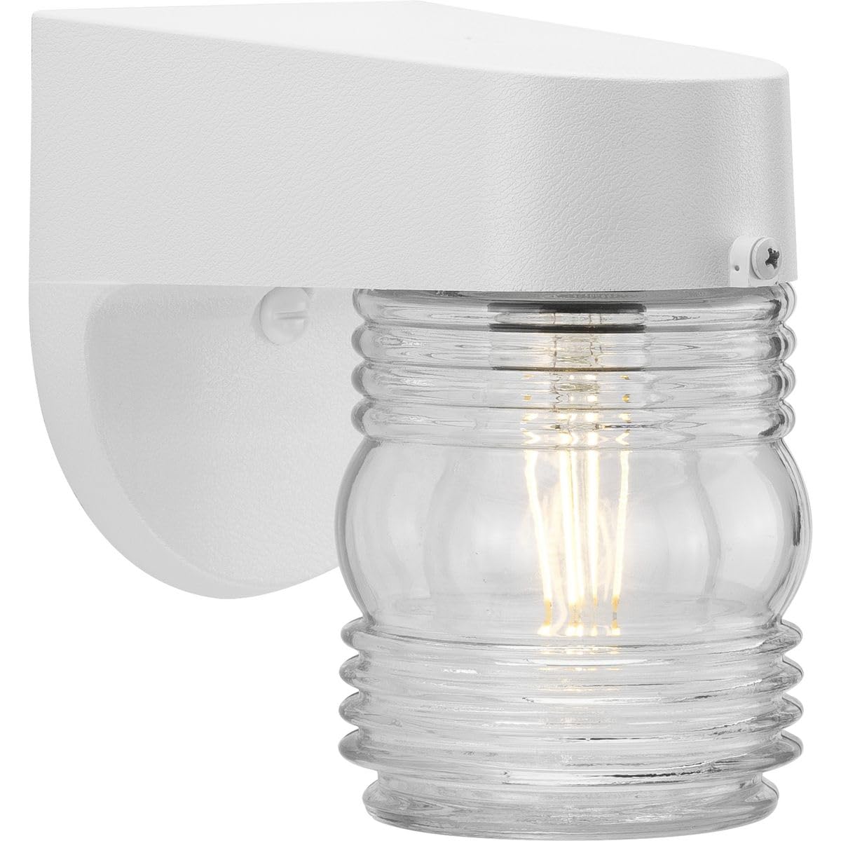 Polycarbonate Outdoor 1-Light Clear Glass Traditional Outdoor Wall Light White