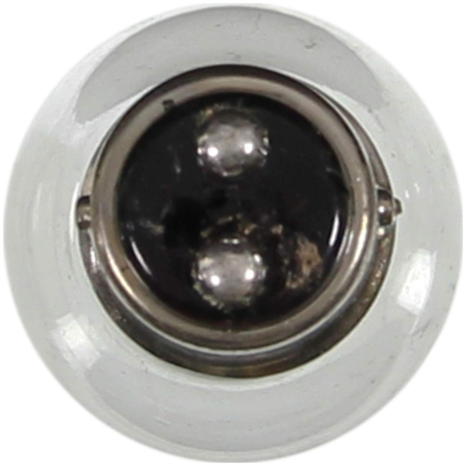 Wagner Lighting Bp1154 Multi-Purpose Light Bulb - Glass, Pack Of 2