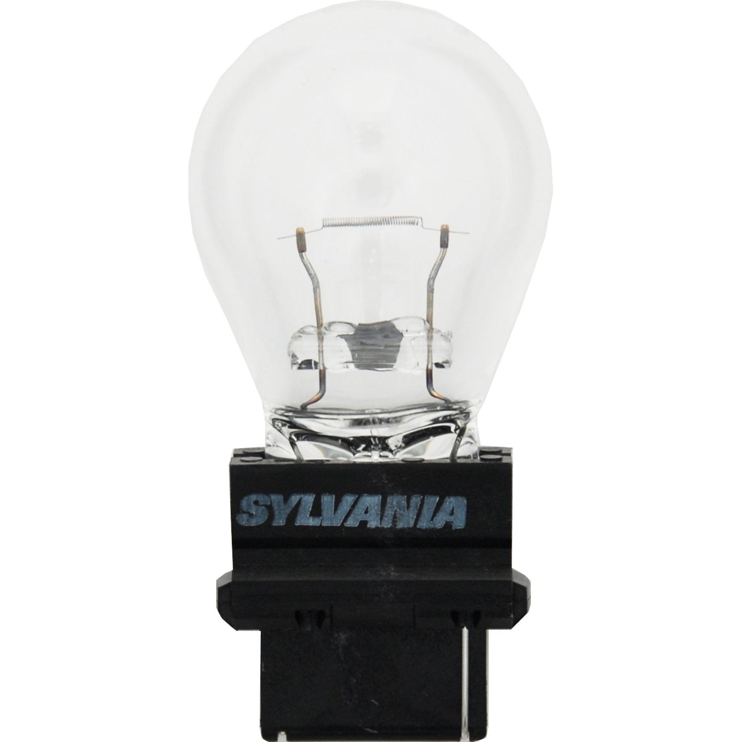 Wagner 3156 Miniature Light Bulbs - 10 Pack, Plastic, 10 Count