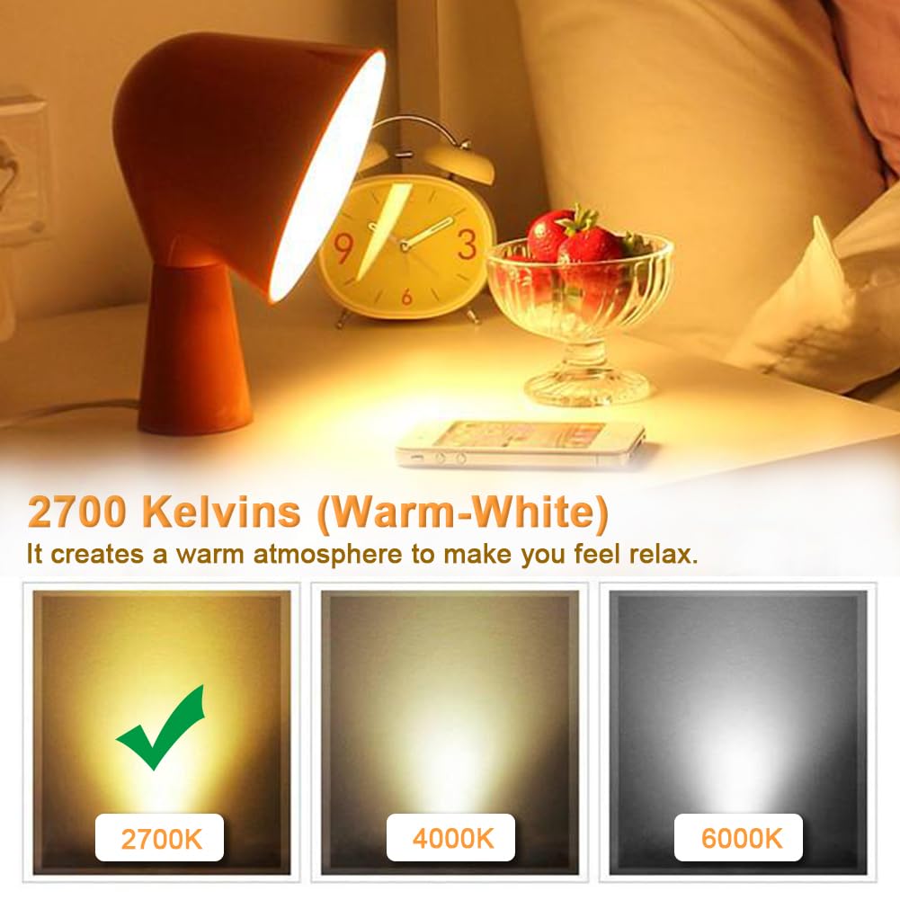 Boyamtoo Led Bulbs St64 6W Equivalent 60W 2700K Warm White Vintage Led Light Bulbs 800Lm Dimmable Brightness With E26 Base And Frosted Glass Cover, Pack Of 3 (2700K, 6W)